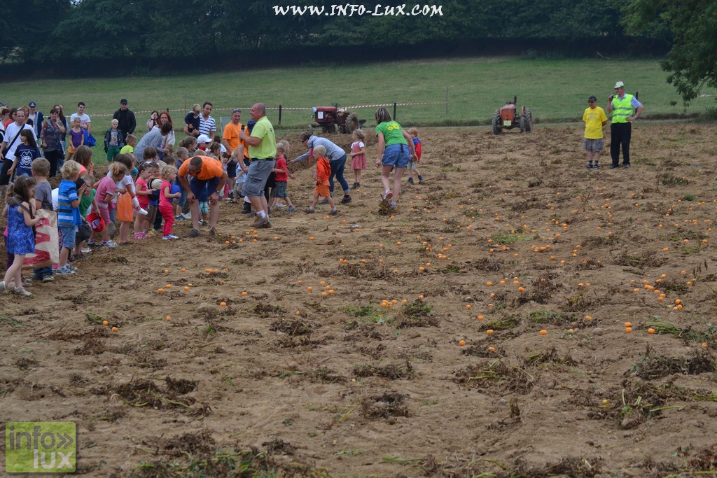 images/stories/PHOTOSREP/neufchateau/Marbay2/Marbay00184