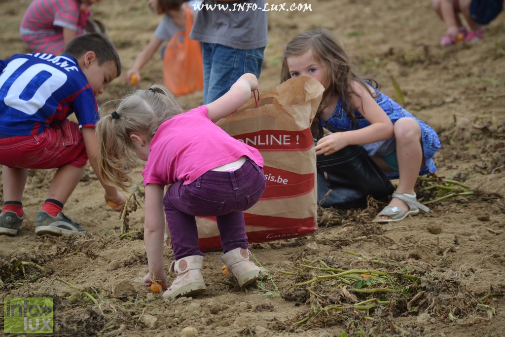 images/stories/PHOTOSREP/neufchateau/Marbay2/Marbay00200
