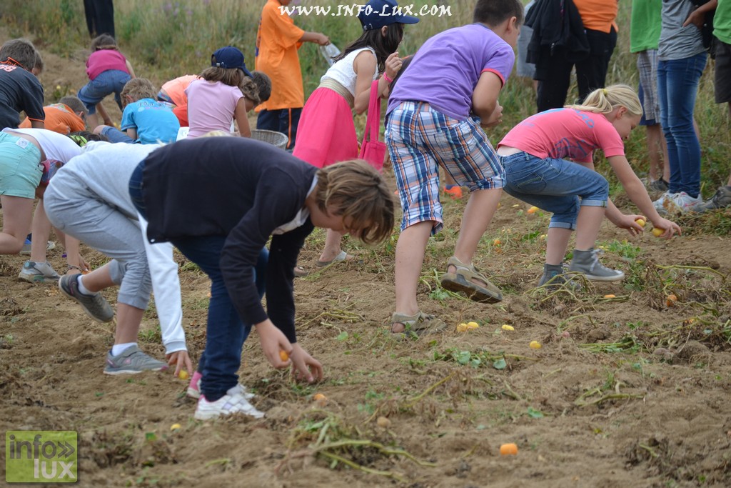 images/stories/PHOTOSREP/neufchateau/Marbay2/Marbay00225