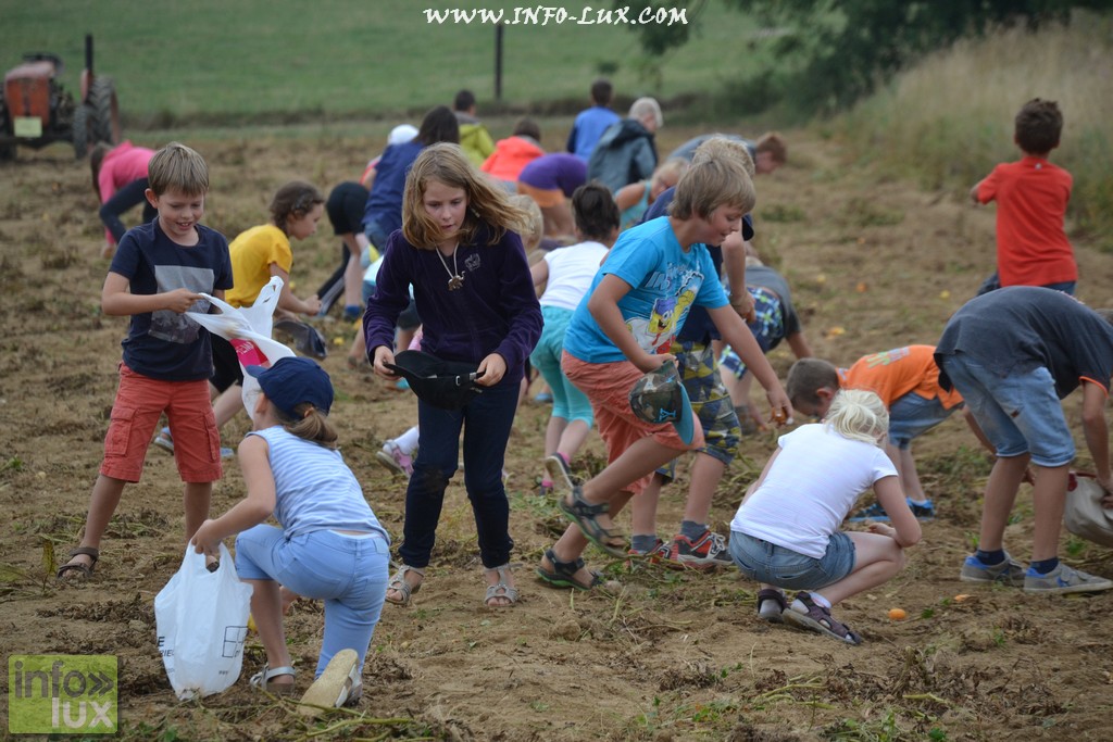 images/stories/PHOTOSREP/neufchateau/Marbay2/Marbay00227