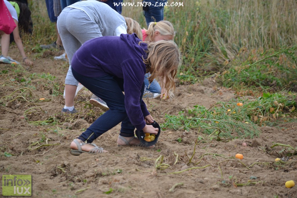 images/stories/PHOTOSREP/neufchateau/Marbay2/Marbay00228