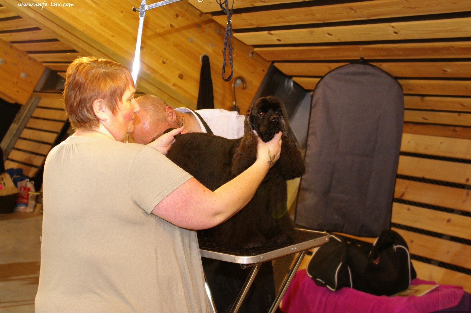 images/stories/PHOTOSREP/Libramont-Chevigny/chiens/expot001