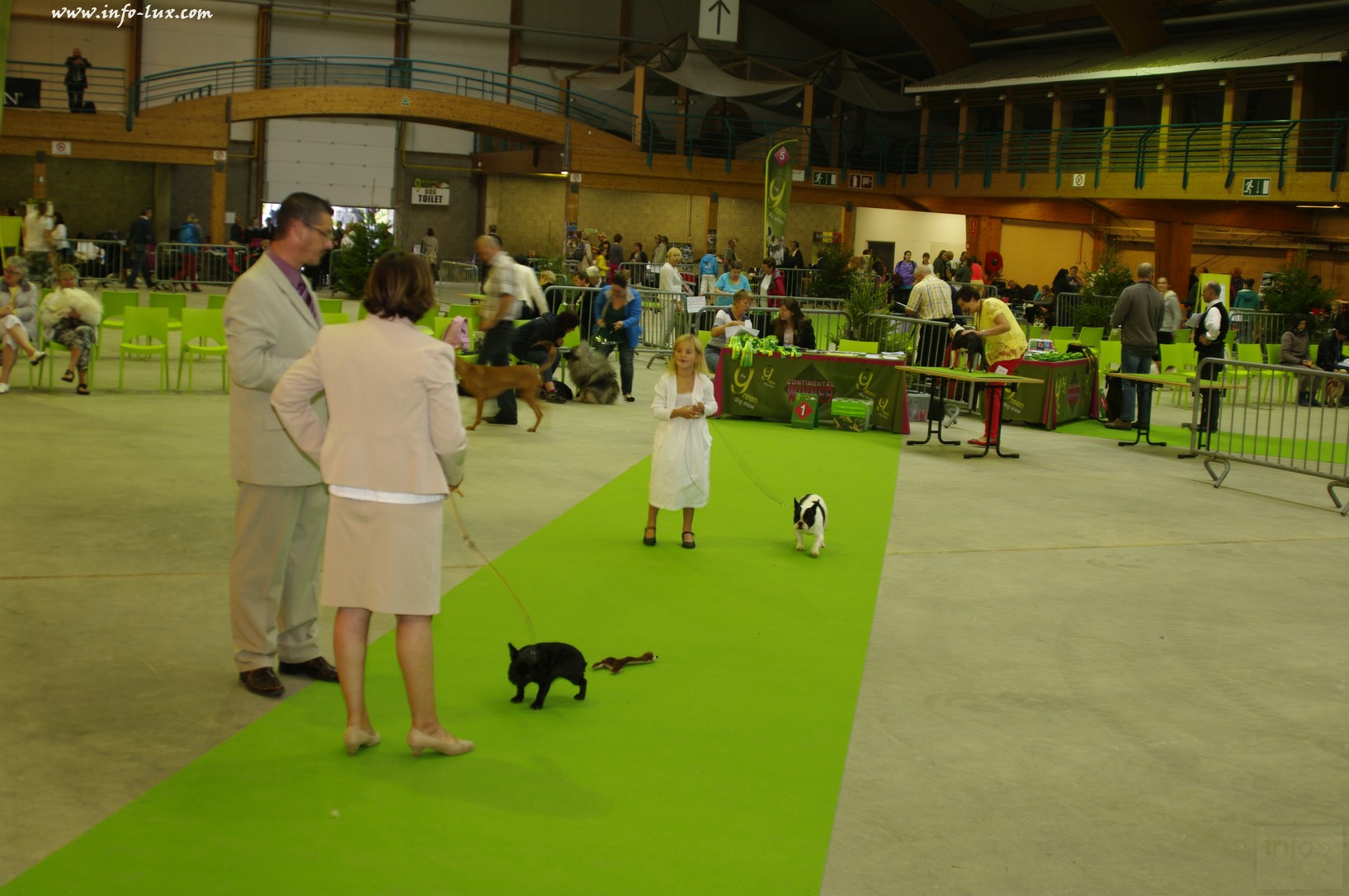 images/stories/PHOTOSREP/Libramont-Chevigny/chiens/expot004