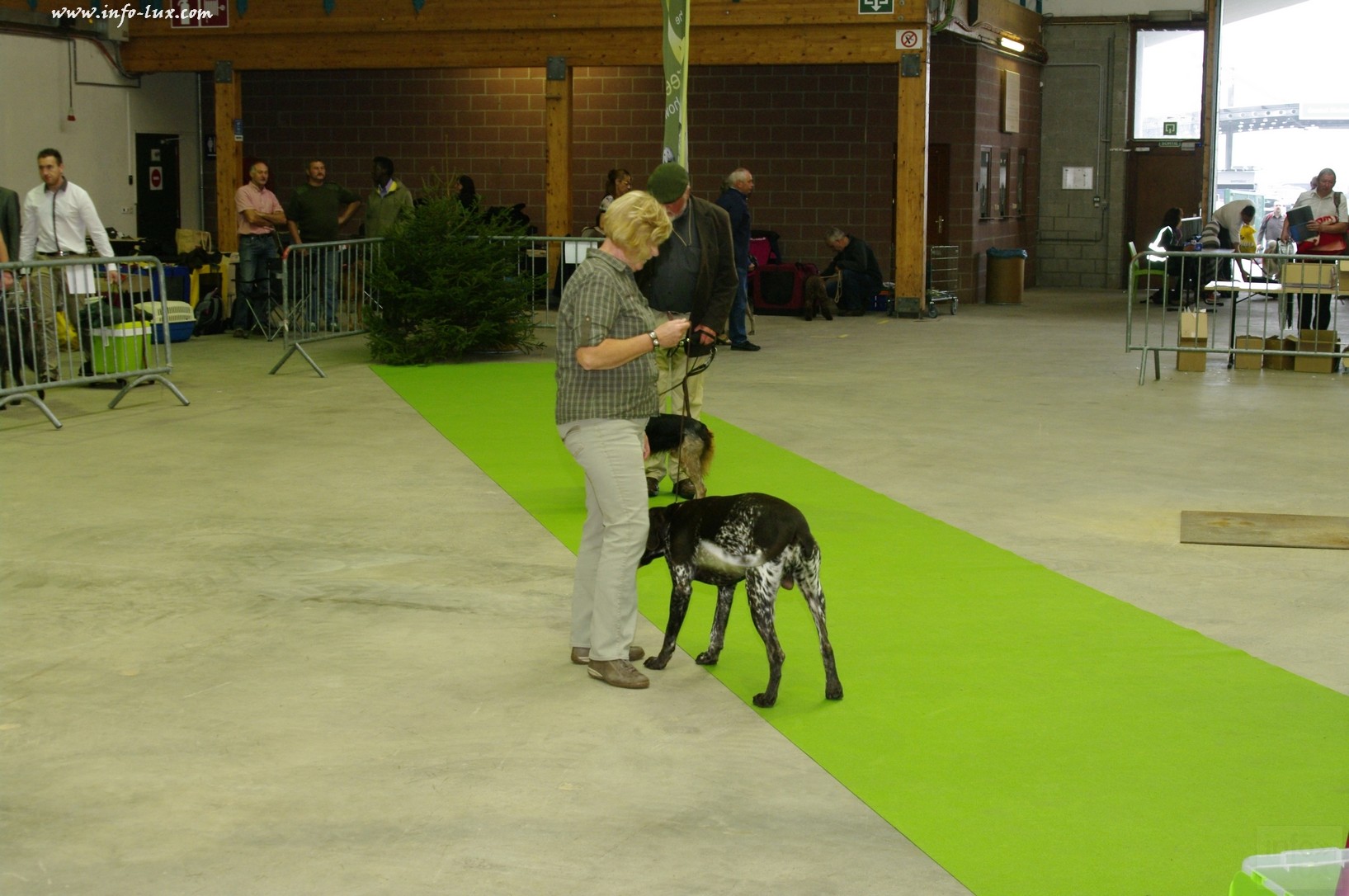 images/stories/PHOTOSREP/Libramont-Chevigny/chiens/expot005
