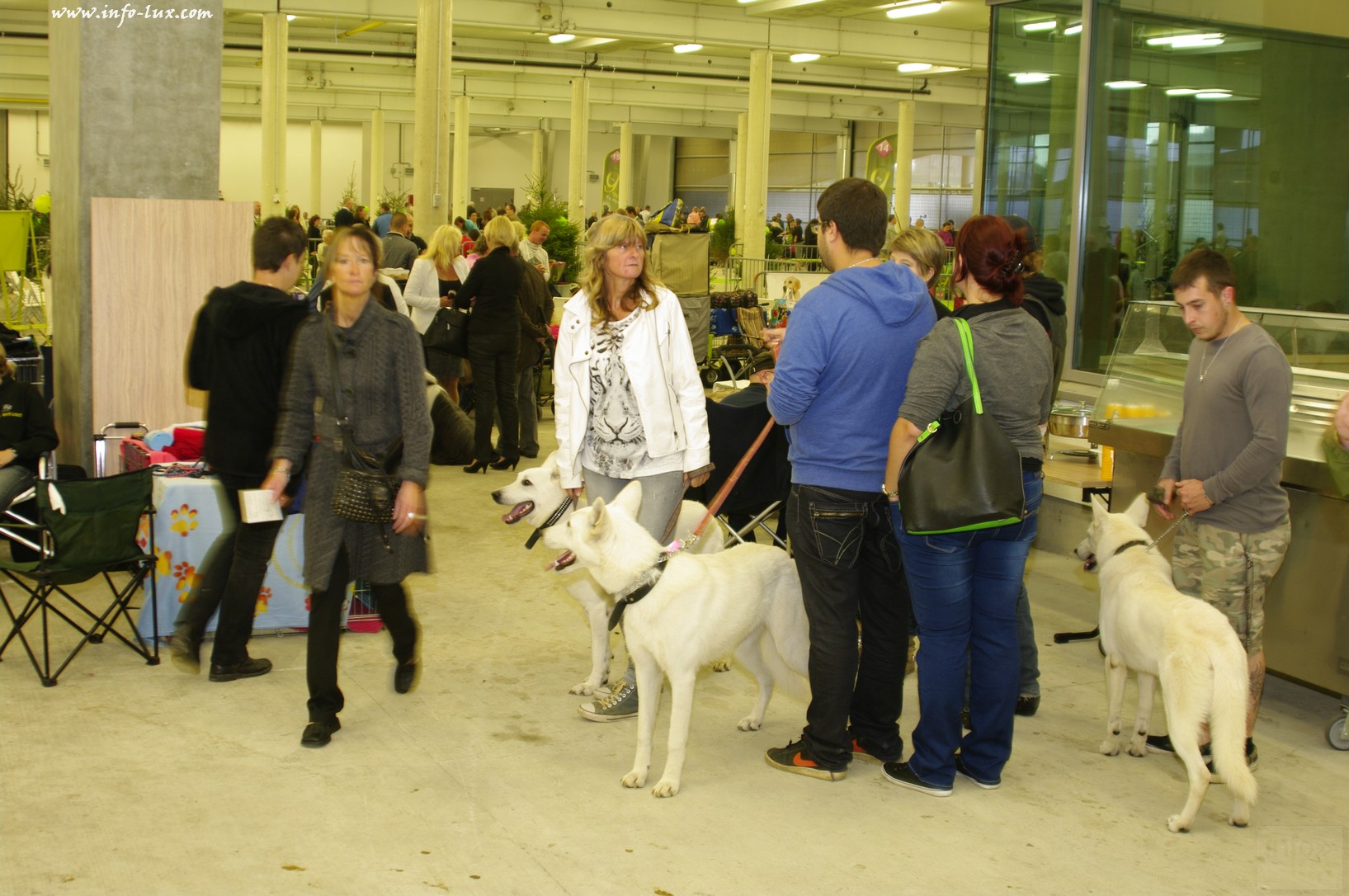 images/stories/PHOTOSREP/Libramont-Chevigny/chiens/expot006