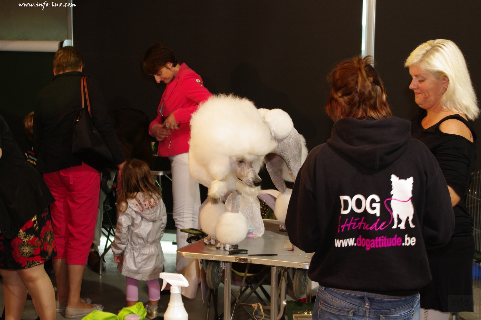 images/stories/PHOTOSREP/Libramont-Chevigny/chiens/expot012