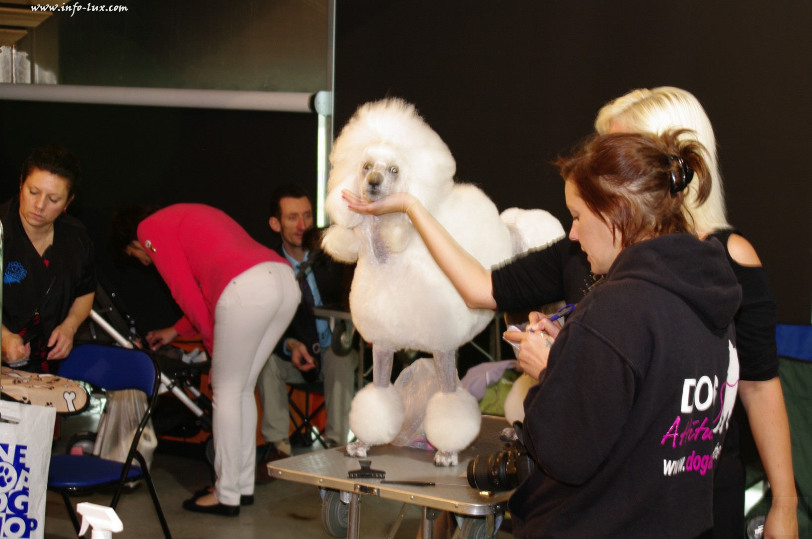 images/stories/PHOTOSREP/Libramont-Chevigny/chiens/expot013