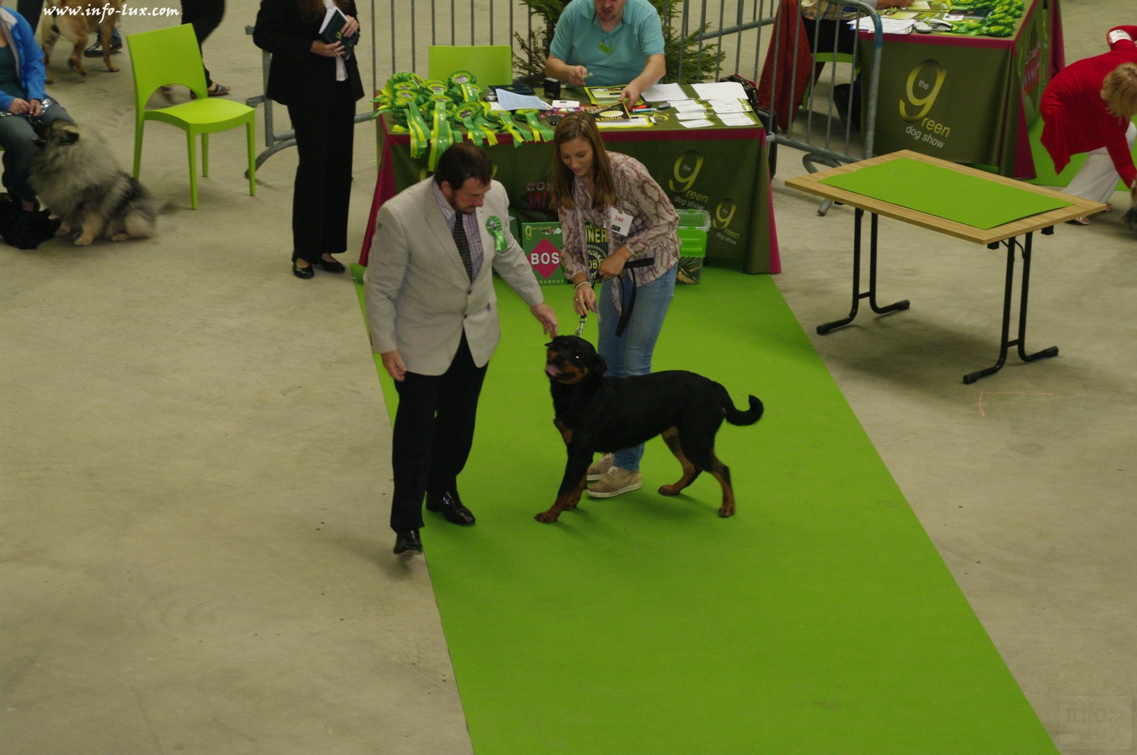 images/stories/PHOTOSREP/Libramont-Chevigny/chiens/expot015