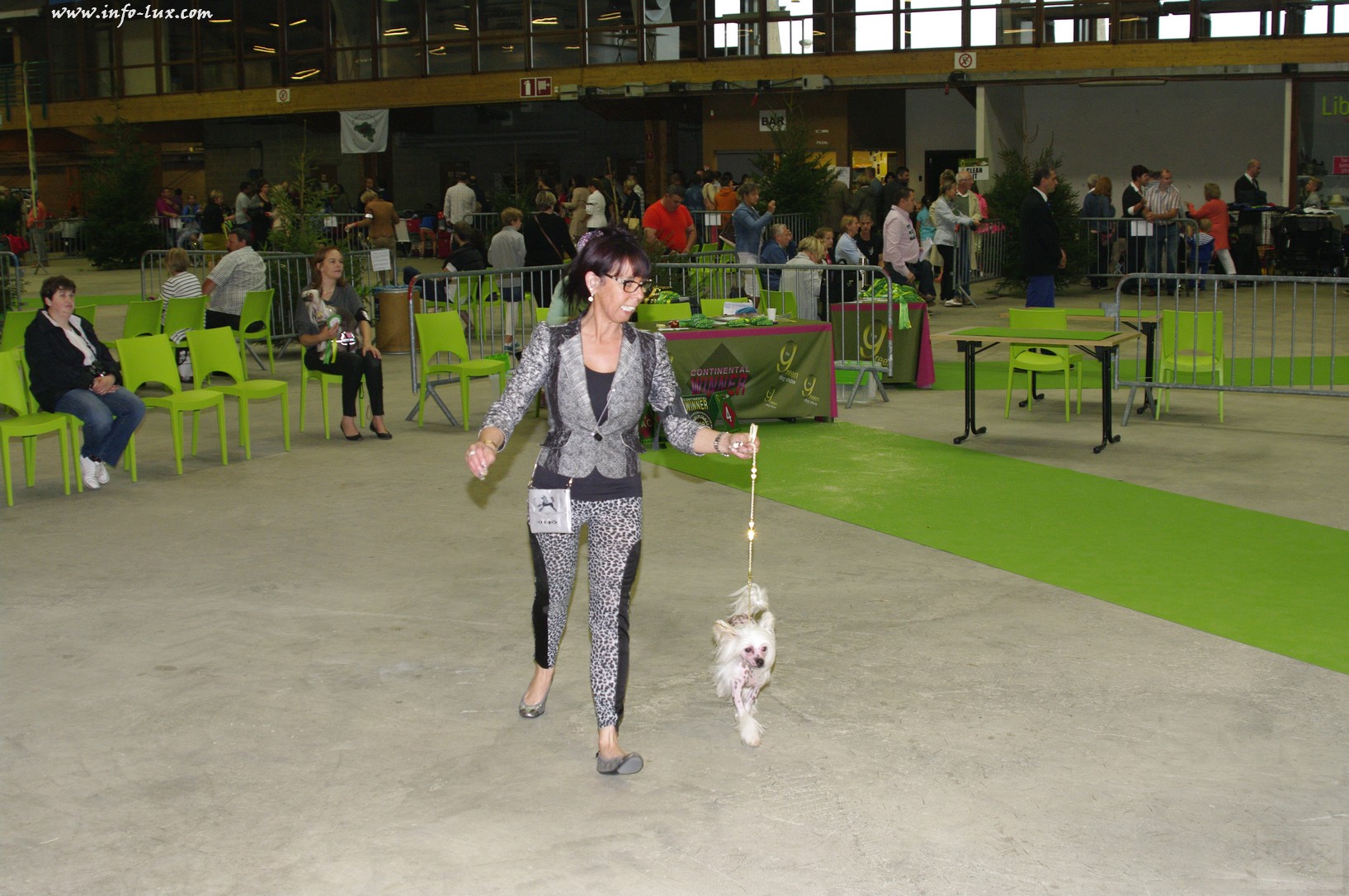 images/stories/PHOTOSREP/Libramont-Chevigny/chiens/expot016