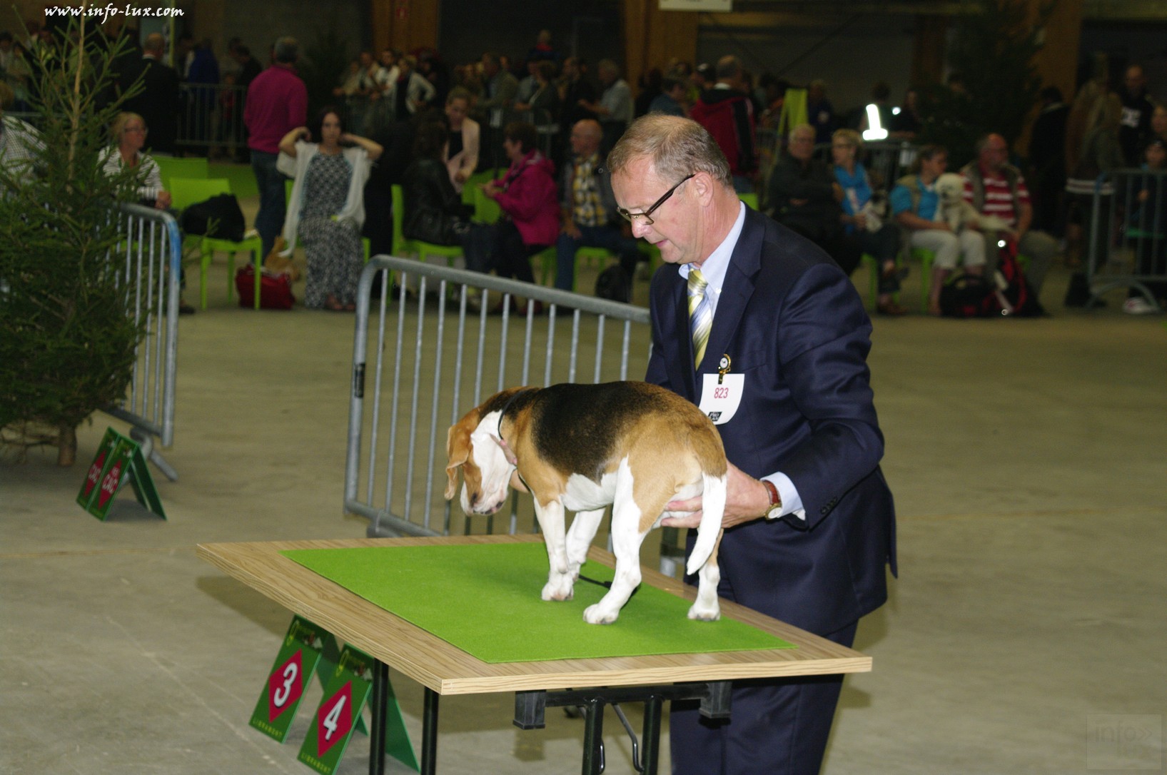 images/stories/PHOTOSREP/Libramont-Chevigny/chiens/expot021