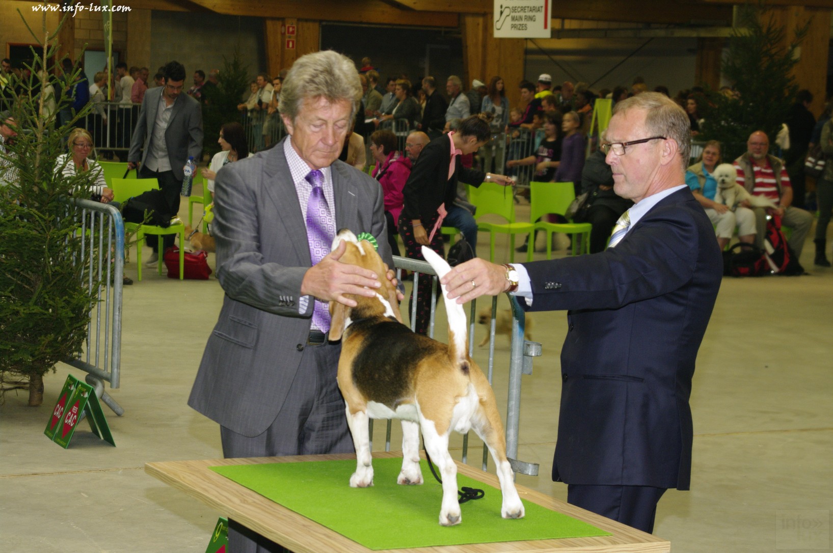 images/stories/PHOTOSREP/Libramont-Chevigny/chiens/expot022