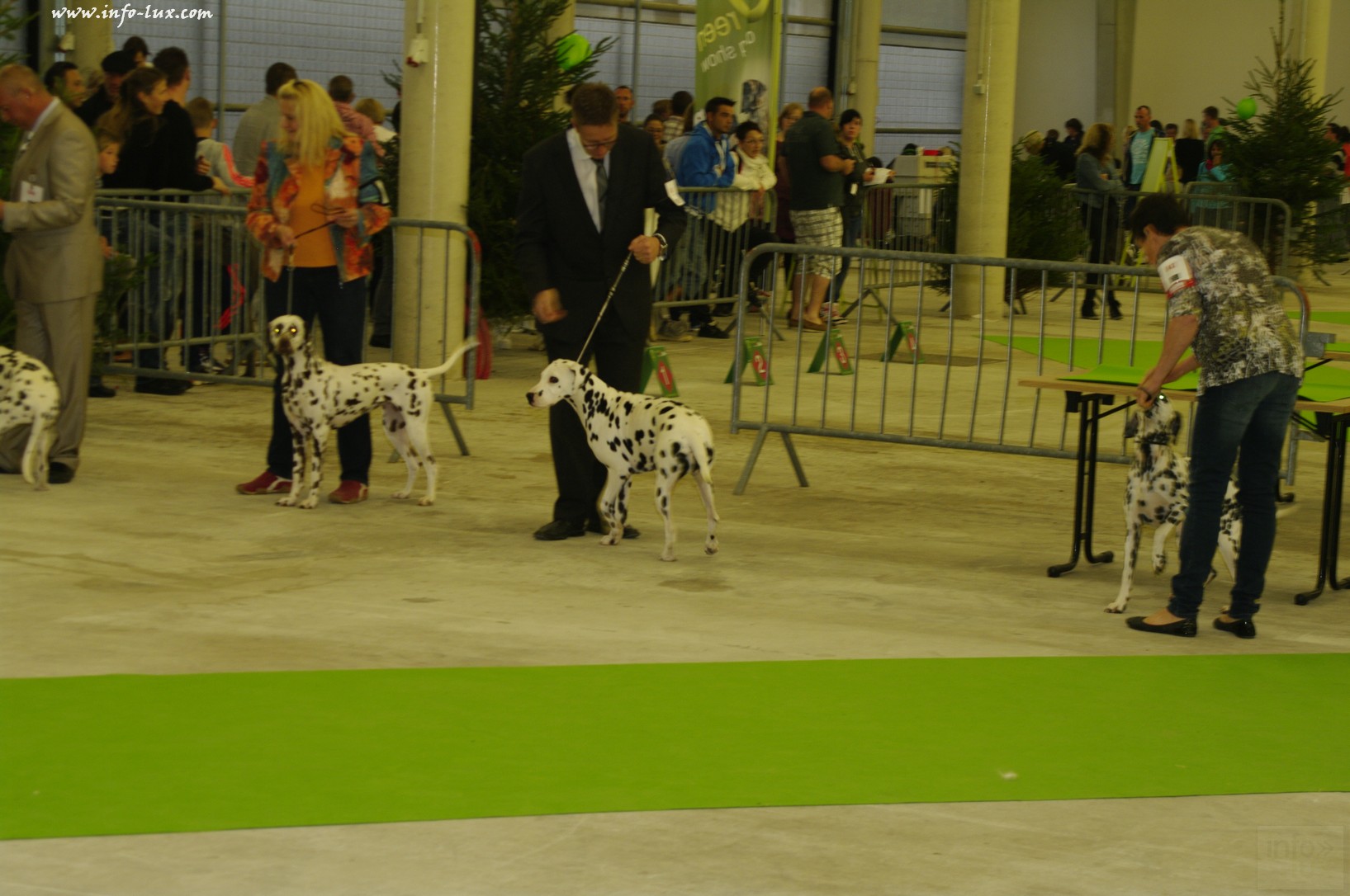 images/stories/PHOTOSREP/Libramont-Chevigny/chiens/expot025