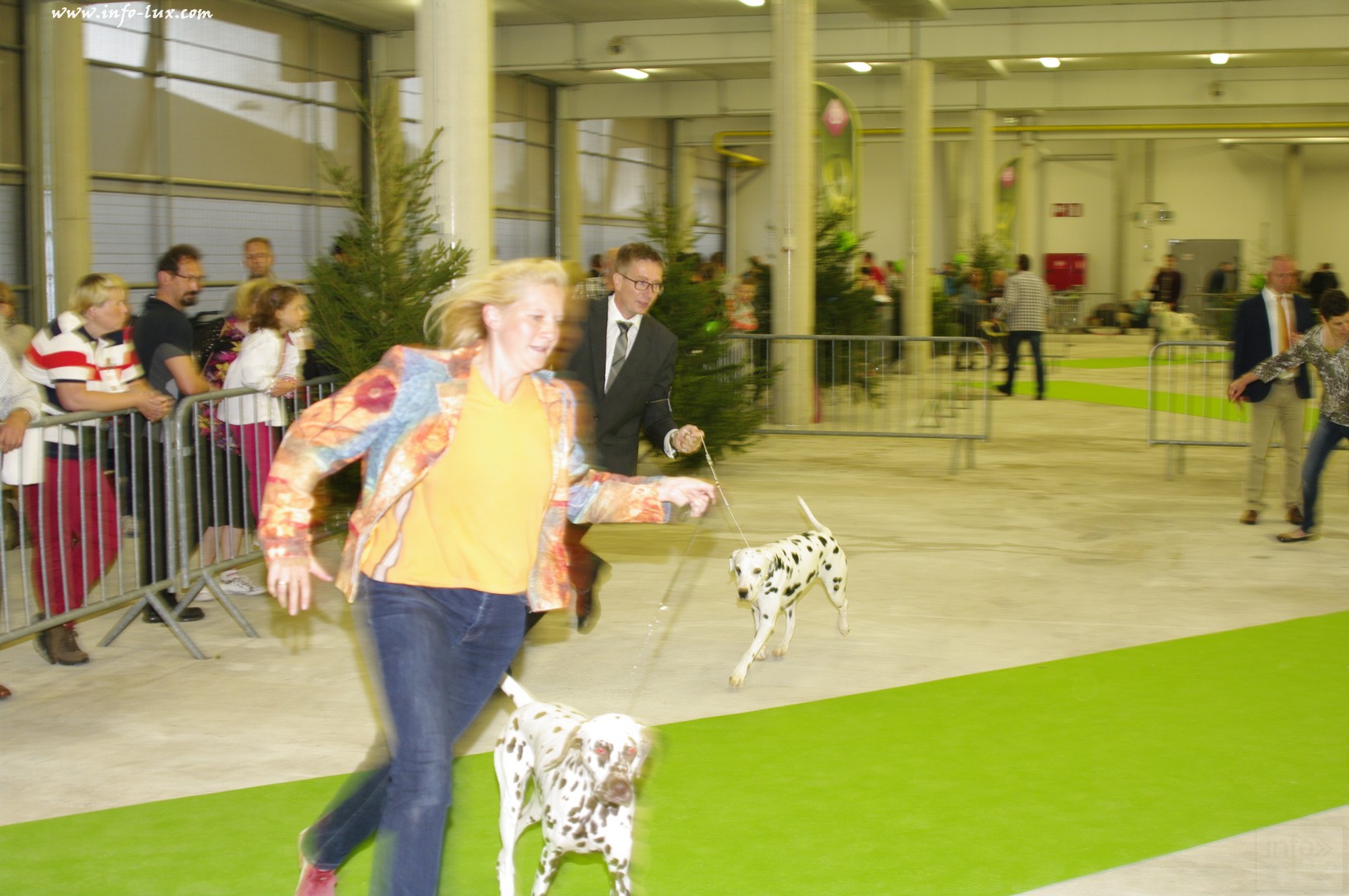 images/stories/PHOTOSREP/Libramont-Chevigny/chiens/expot027