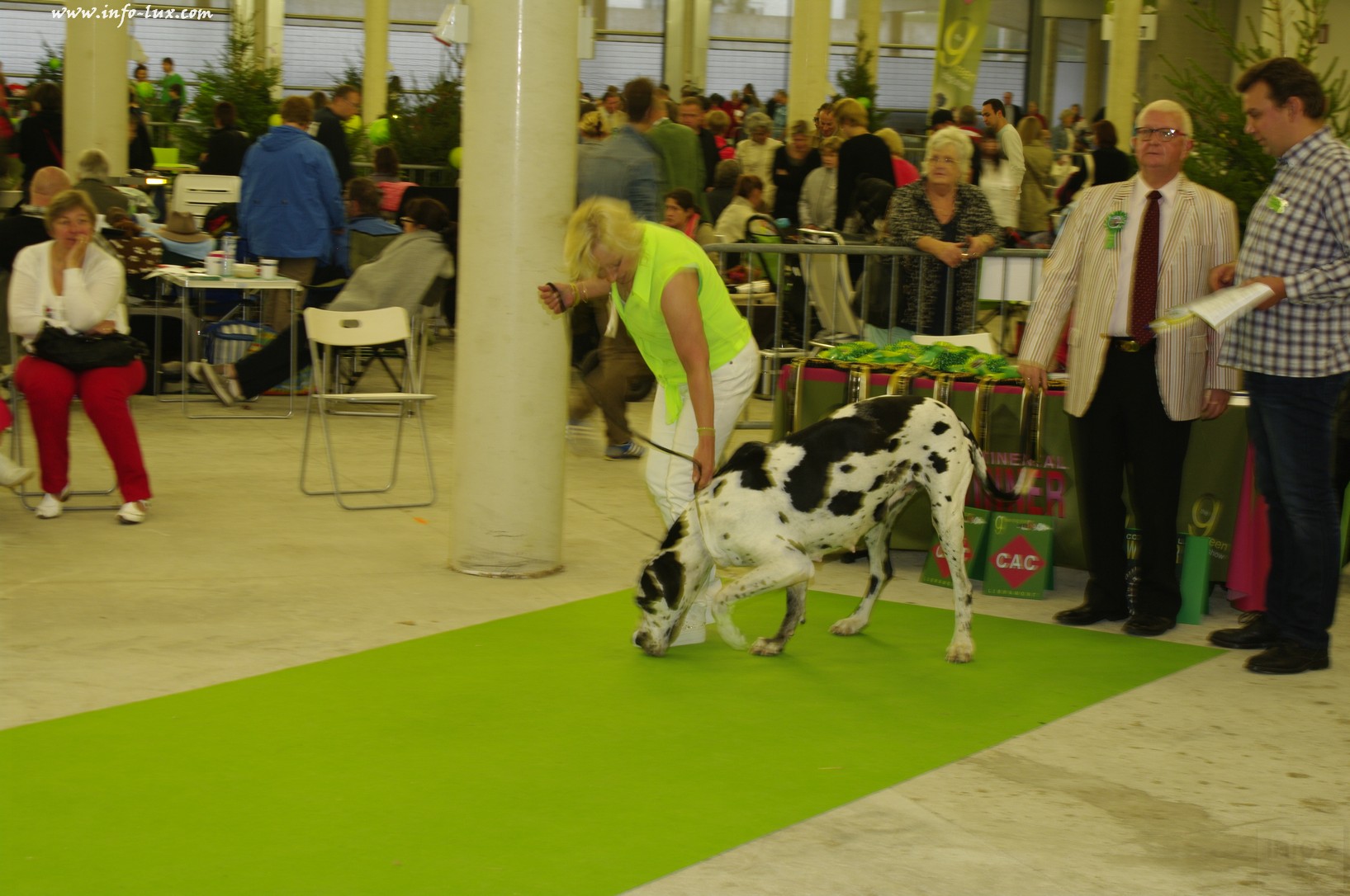 images/stories/PHOTOSREP/Libramont-Chevigny/chiens/expot028