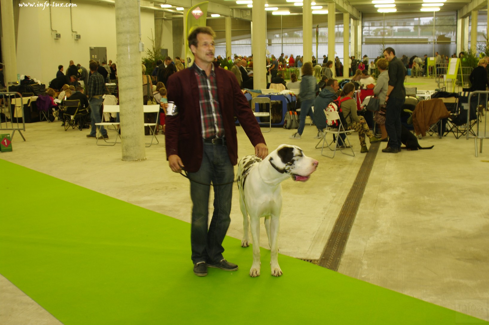 images/stories/PHOTOSREP/Libramont-Chevigny/chiens/expot030
