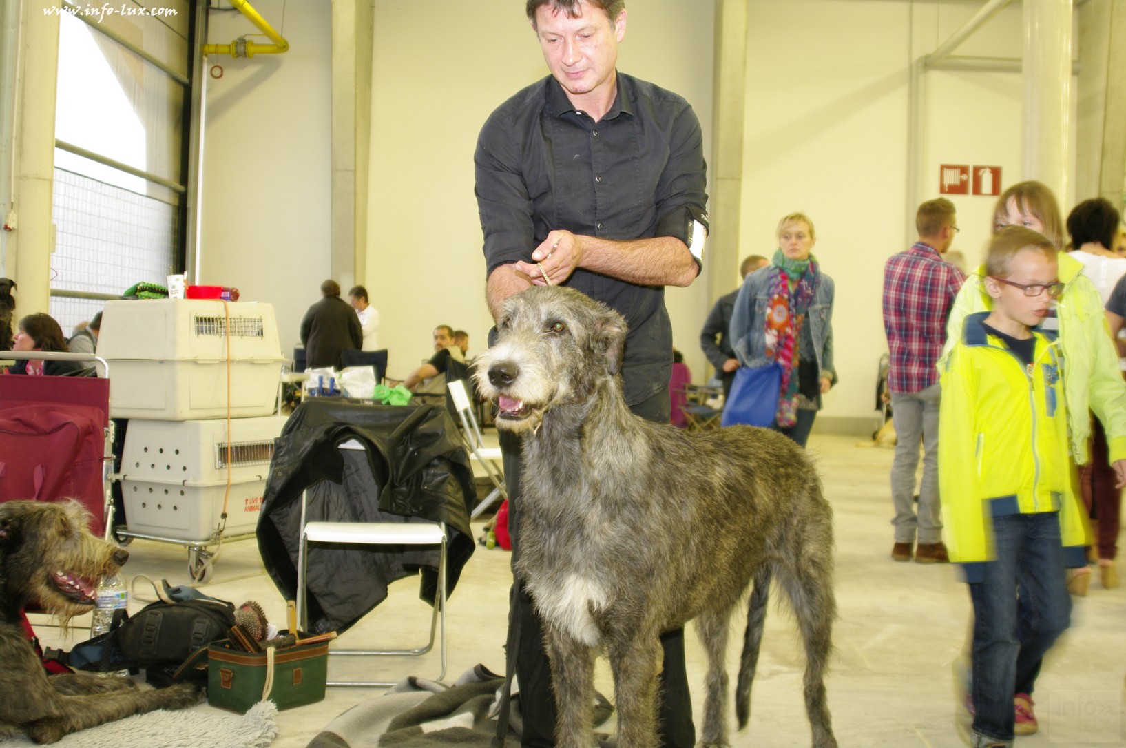 images/stories/PHOTOSREP/Libramont-Chevigny/chiens/expot031