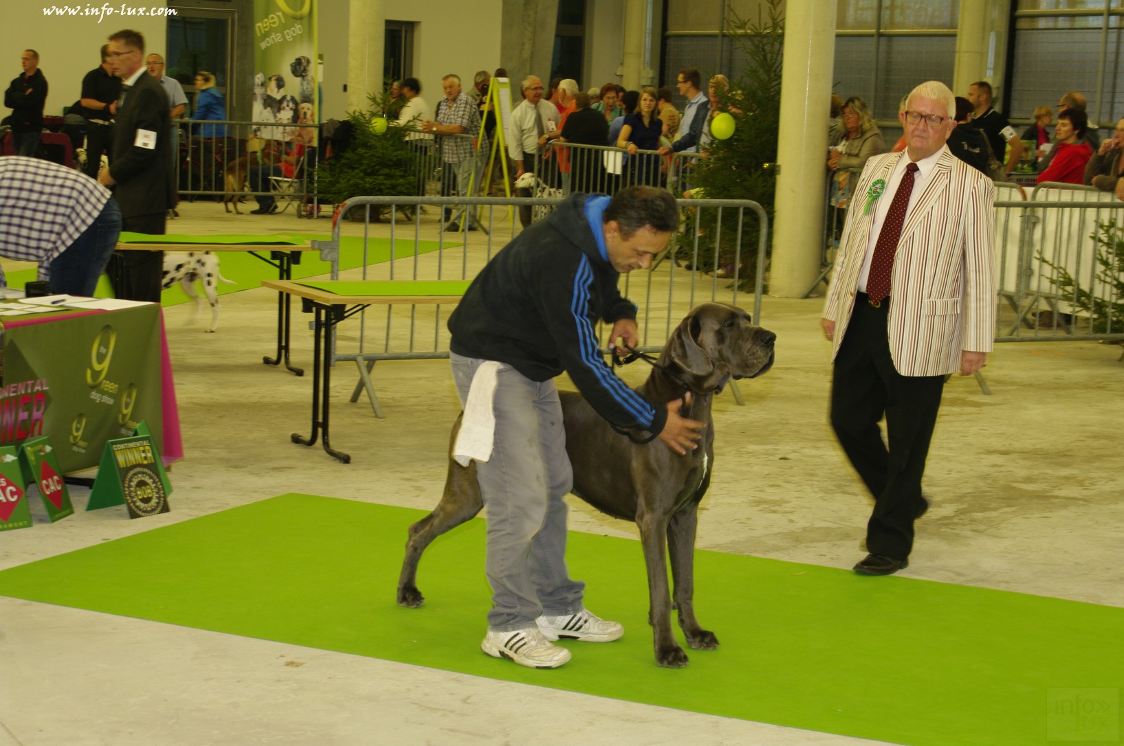 images/stories/PHOTOSREP/Libramont-Chevigny/chiens/expot036