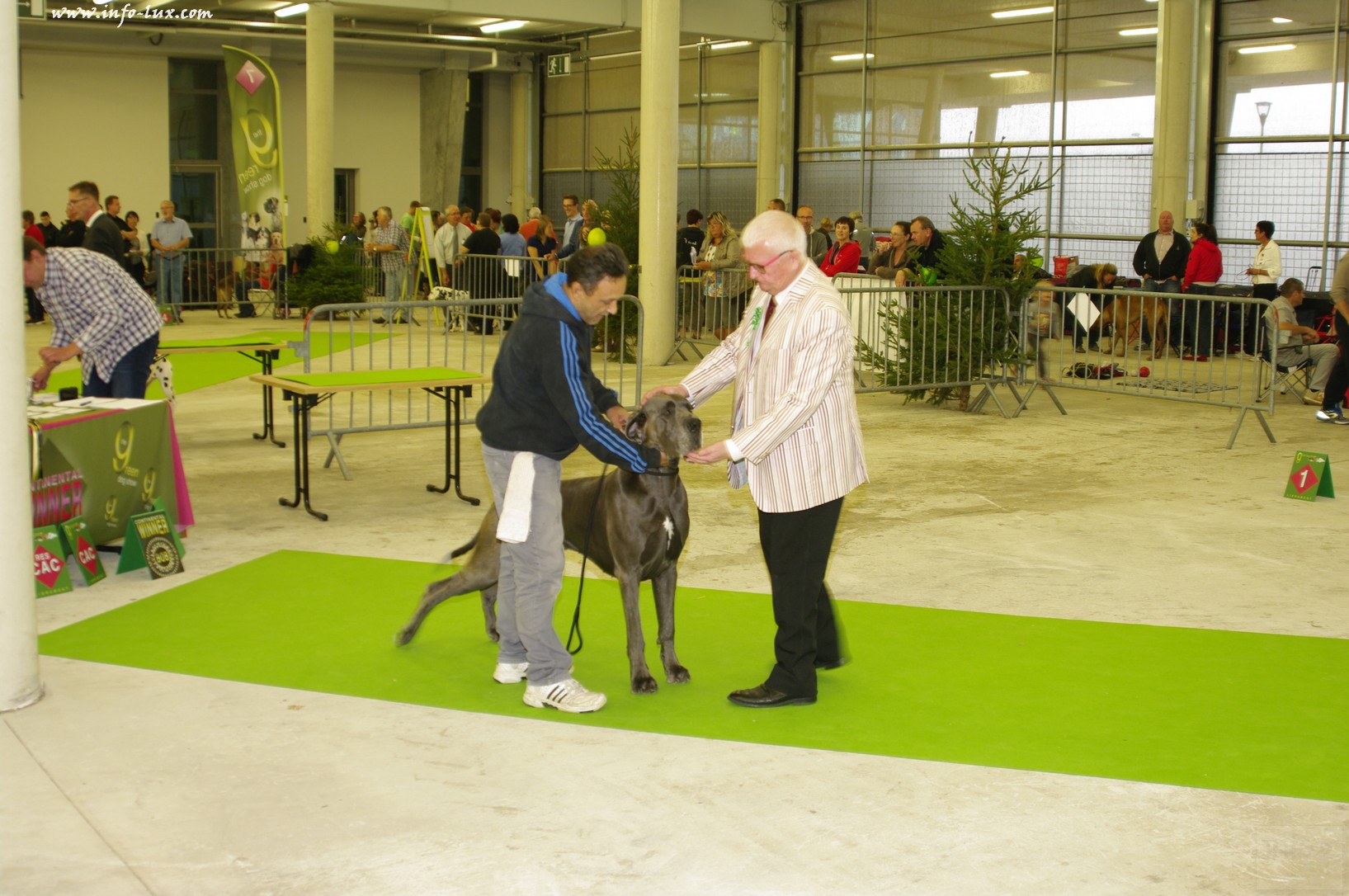 images/stories/PHOTOSREP/Libramont-Chevigny/chiens/expot037