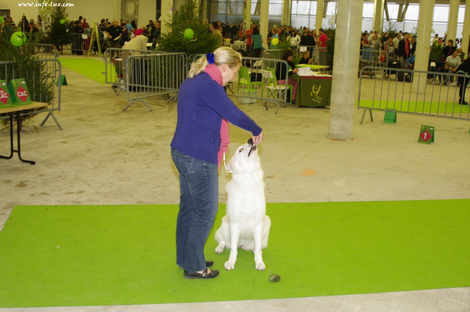 images/stories/PHOTOSREP/Libramont-Chevigny/chiens/expot039