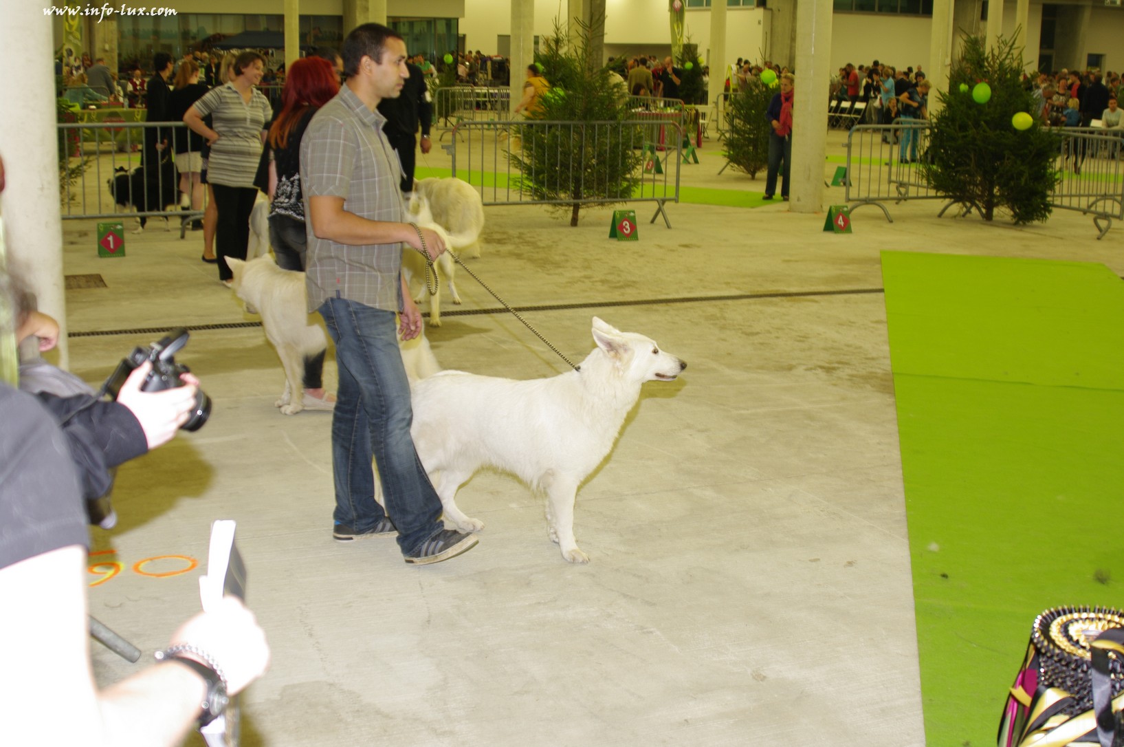 images/stories/PHOTOSREP/Libramont-Chevigny/chiens/expot040