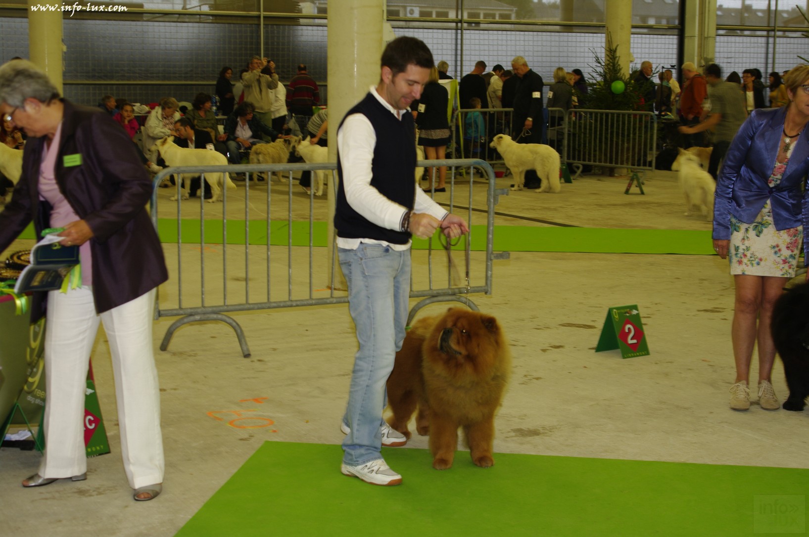 images/stories/PHOTOSREP/Libramont-Chevigny/chiens/expot042