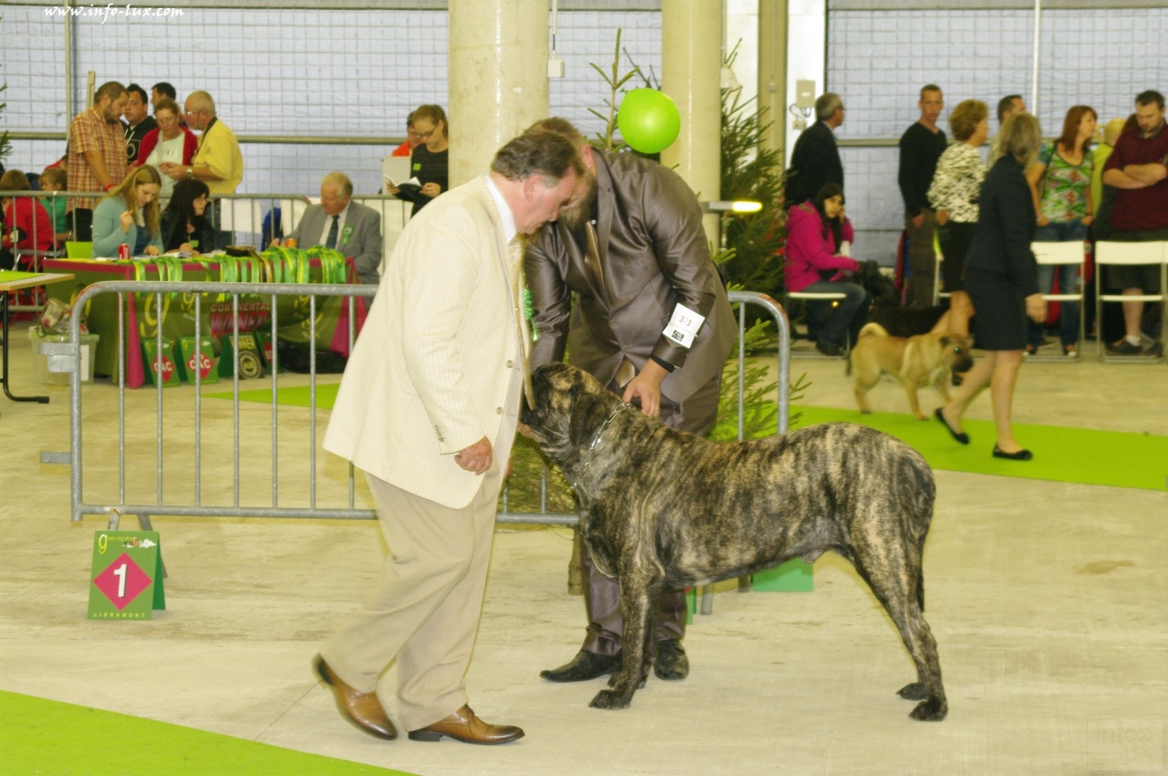 images/stories/PHOTOSREP/Libramont-Chevigny/chiens/expot043