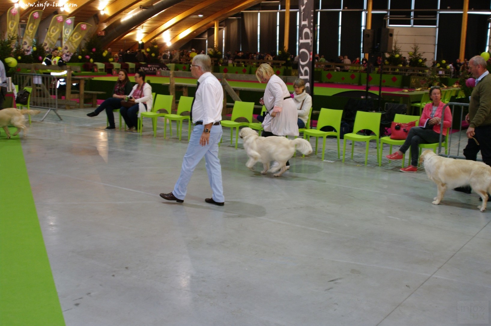 images/stories/PHOTOSREP/Libramont-Chevigny/chiens/expot045