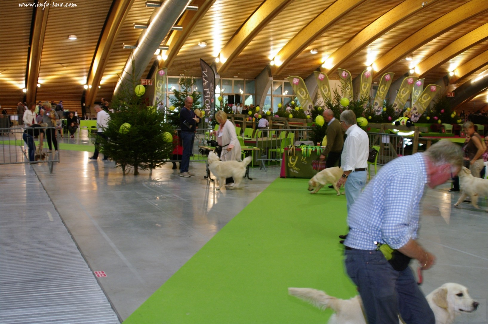 images/stories/PHOTOSREP/Libramont-Chevigny/chiens/expot046