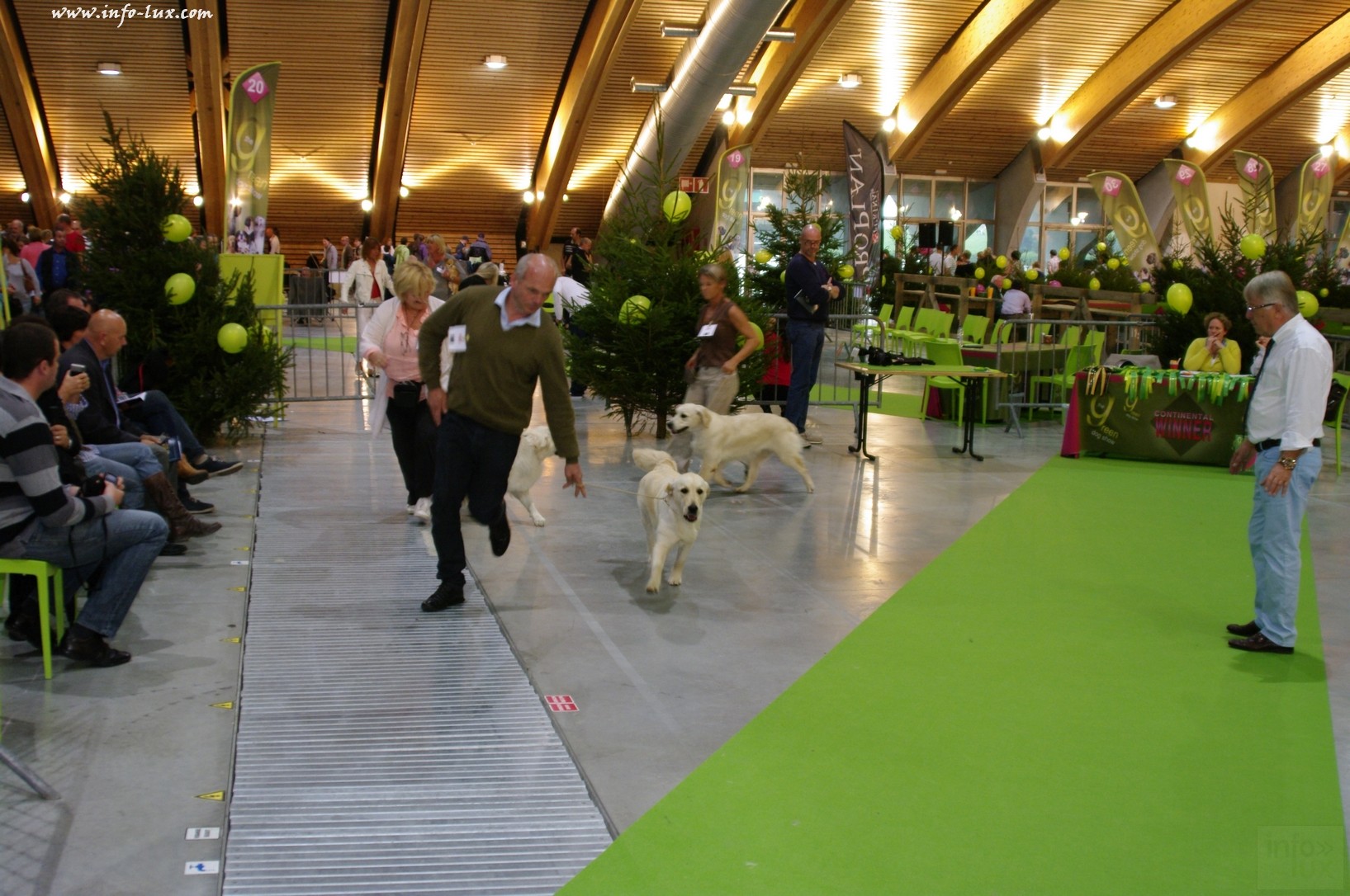 images/stories/PHOTOSREP/Libramont-Chevigny/chiens/expot047