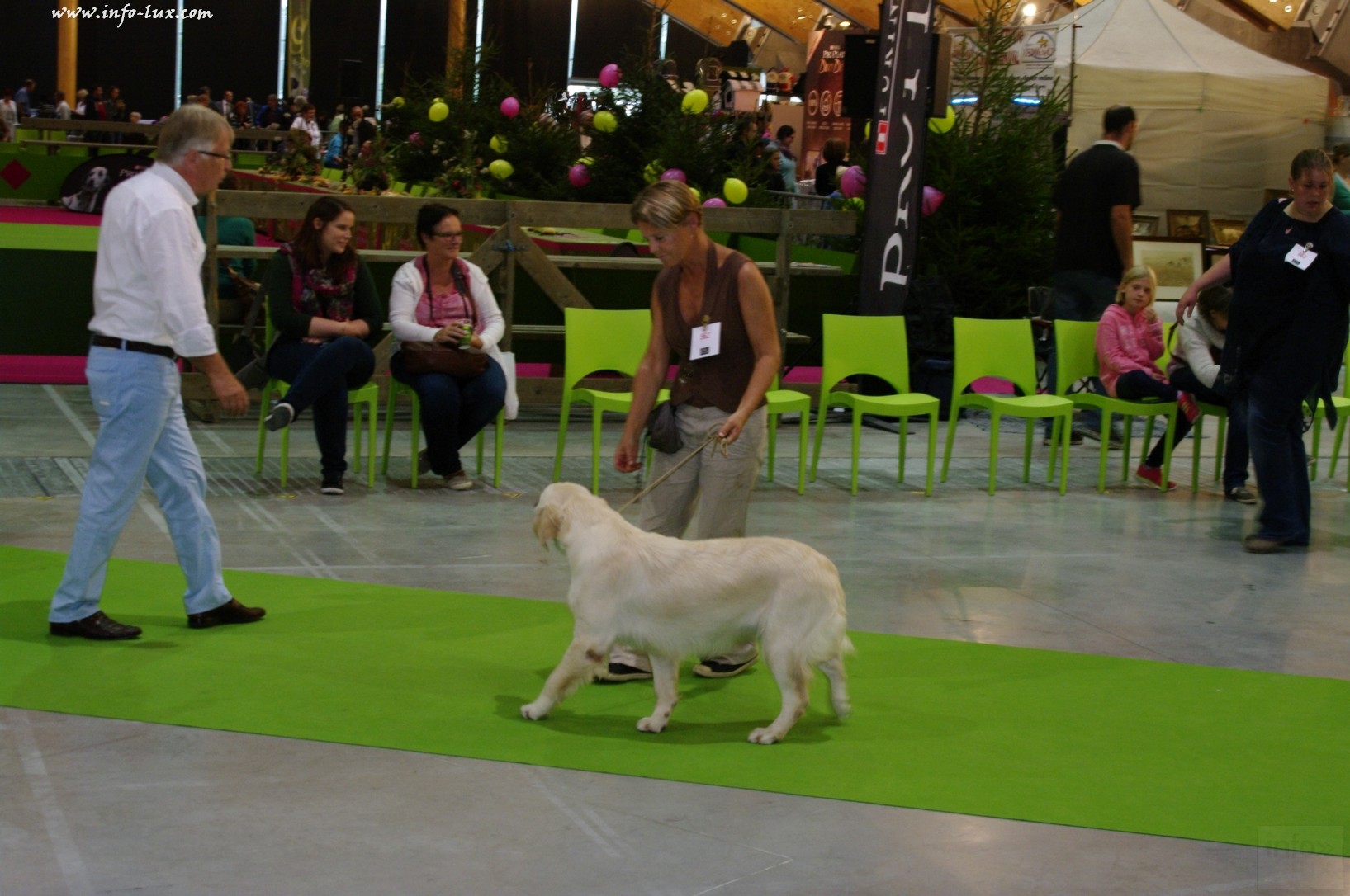 images/stories/PHOTOSREP/Libramont-Chevigny/chiens/expot048