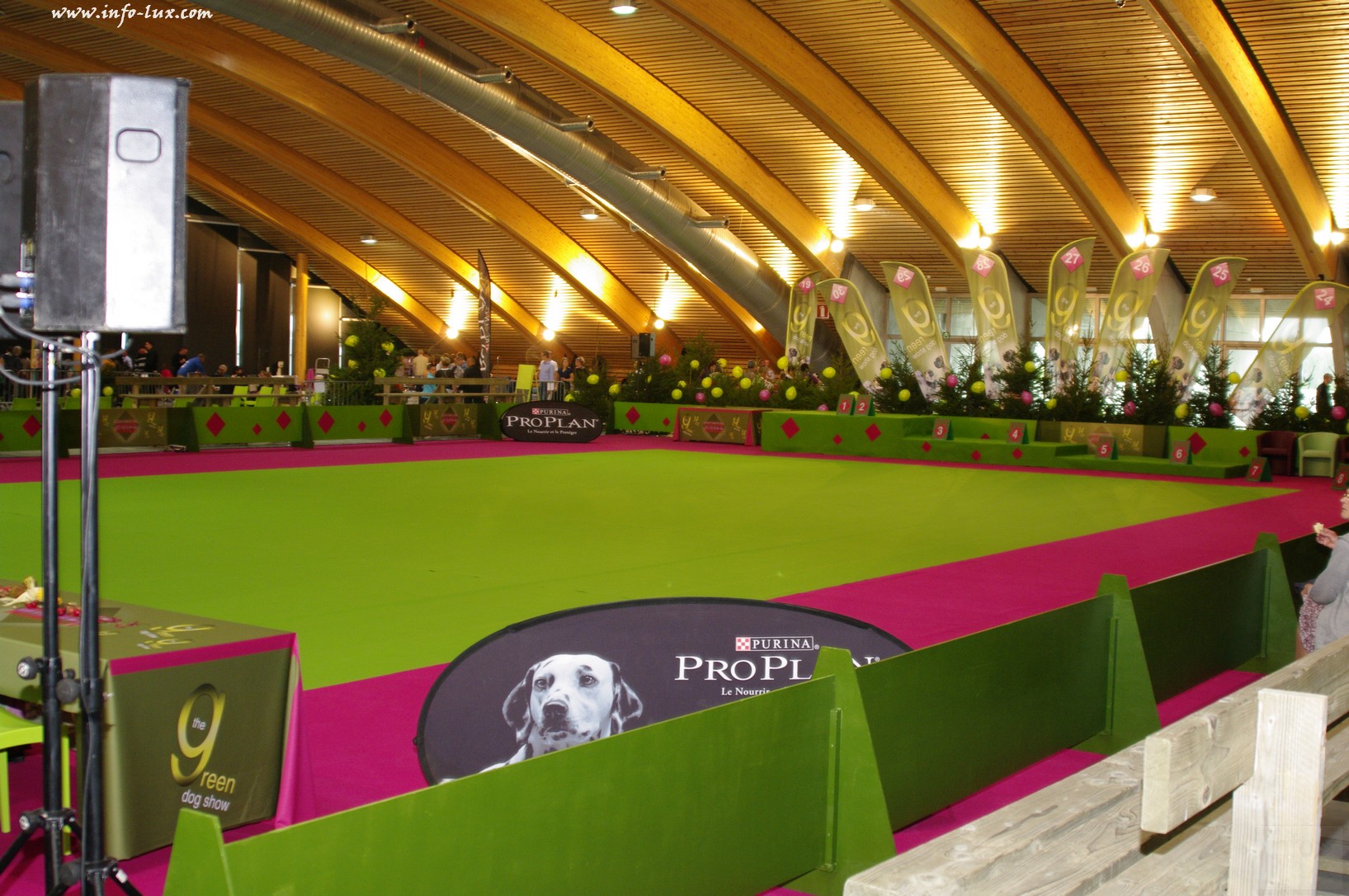 images/stories/PHOTOSREP/Libramont-Chevigny/chiens/expot055