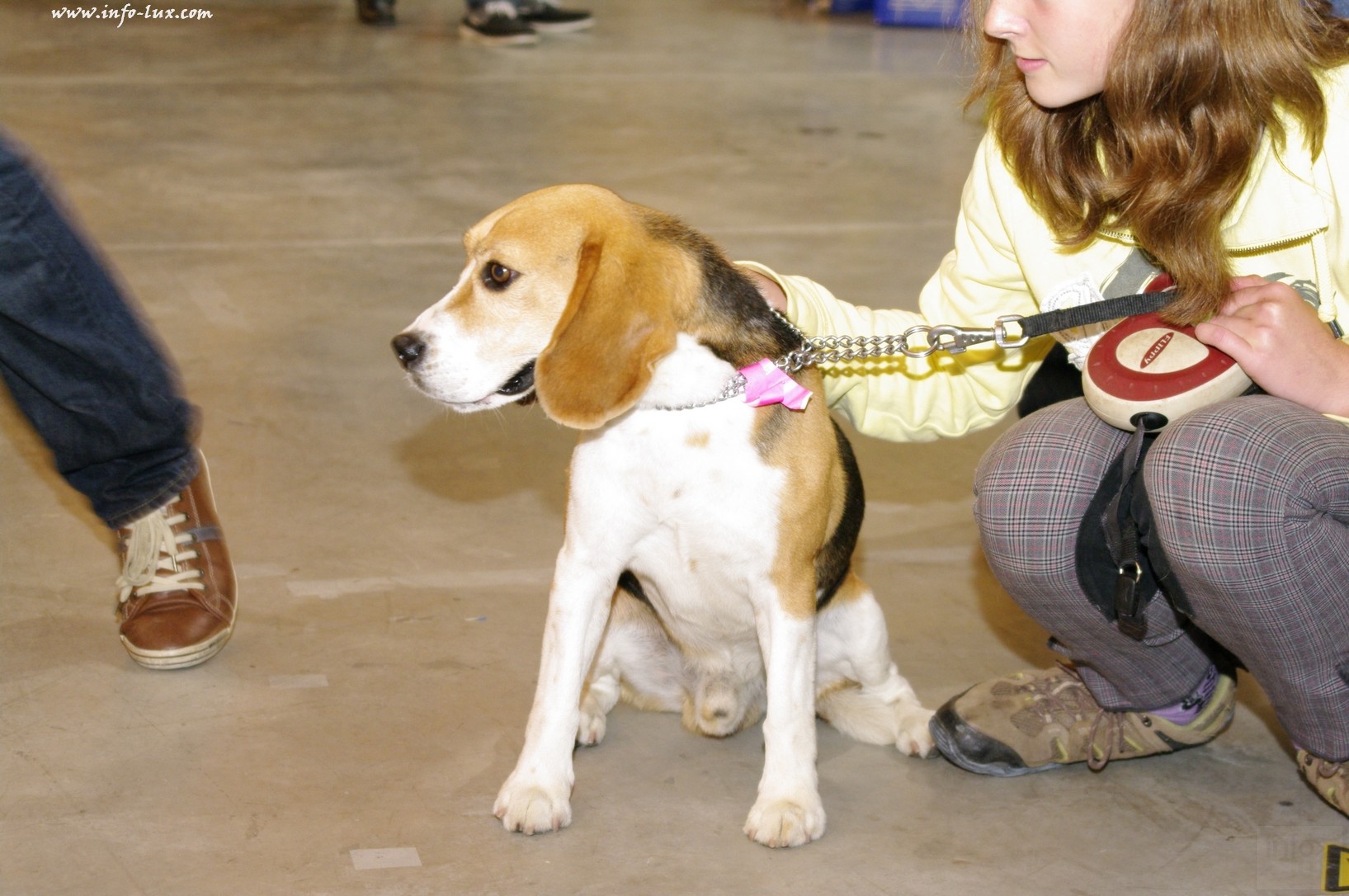 images/stories/PHOTOSREP/Libramont-Chevigny/chiens/expot056