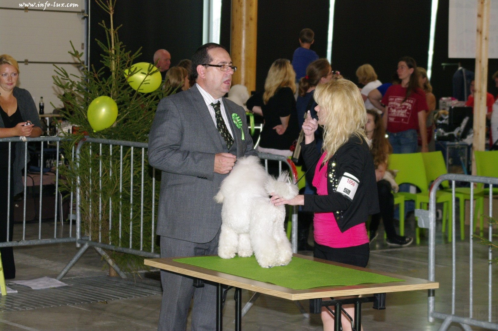 images/stories/PHOTOSREP/Libramont-Chevigny/chiens/expot059