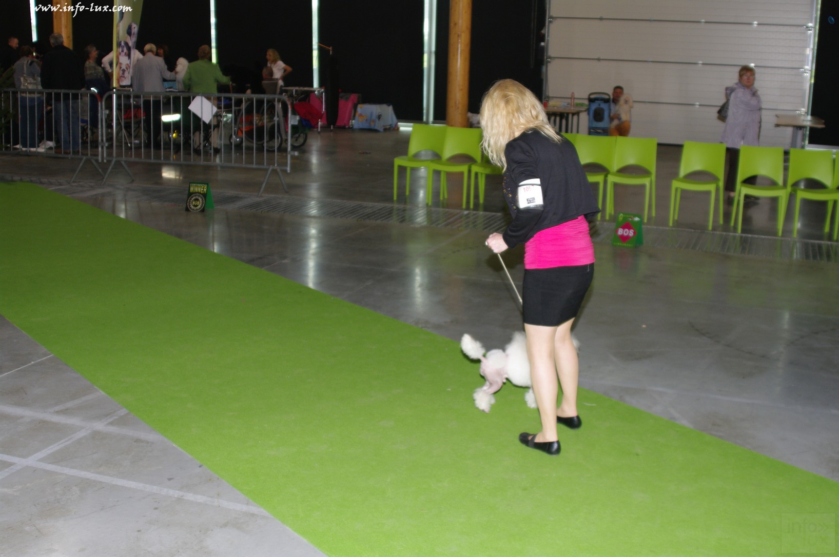 images/stories/PHOTOSREP/Libramont-Chevigny/chiens/expot061