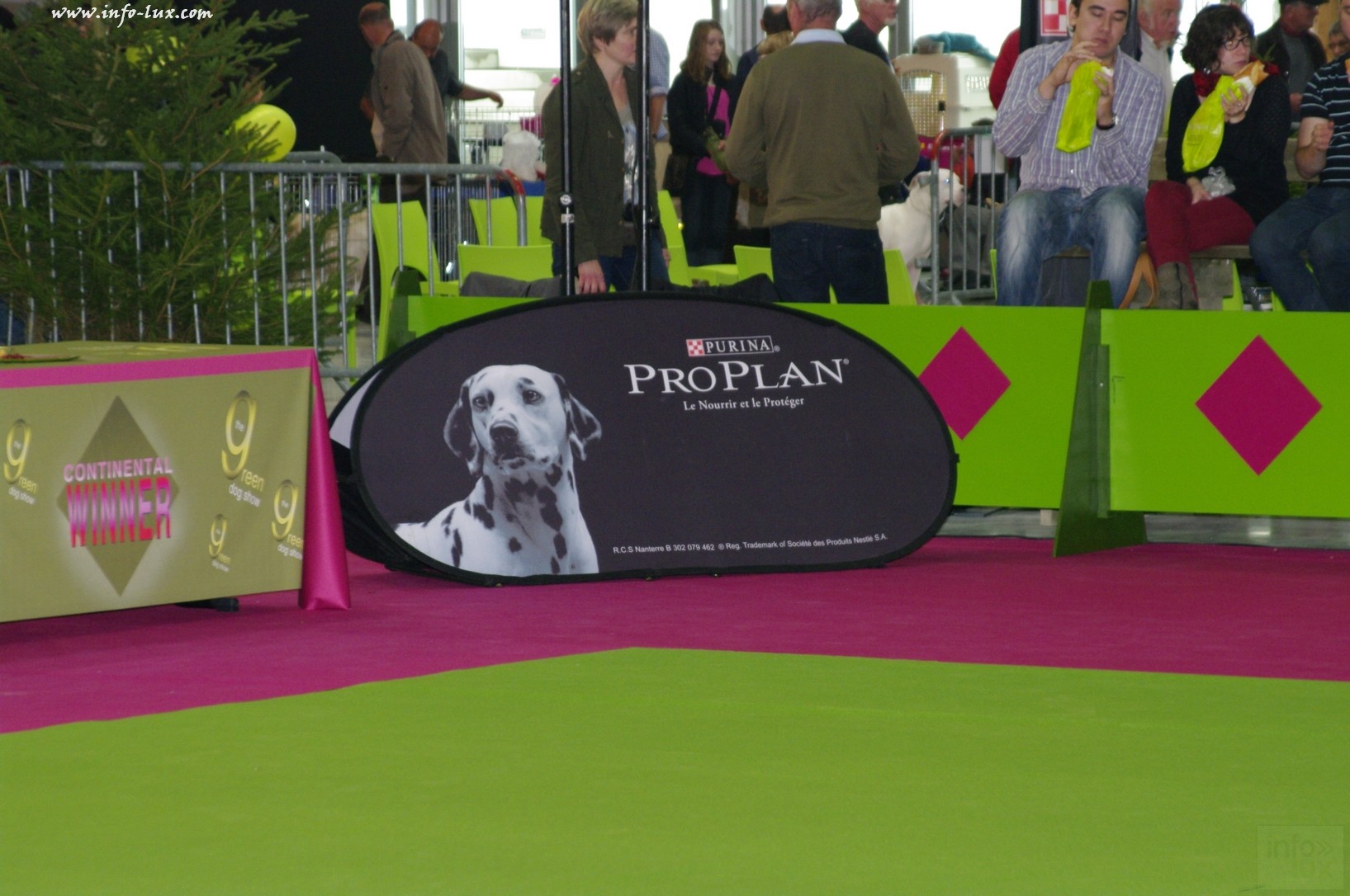 images/stories/PHOTOSREP/Libramont-Chevigny/chiens/expot062