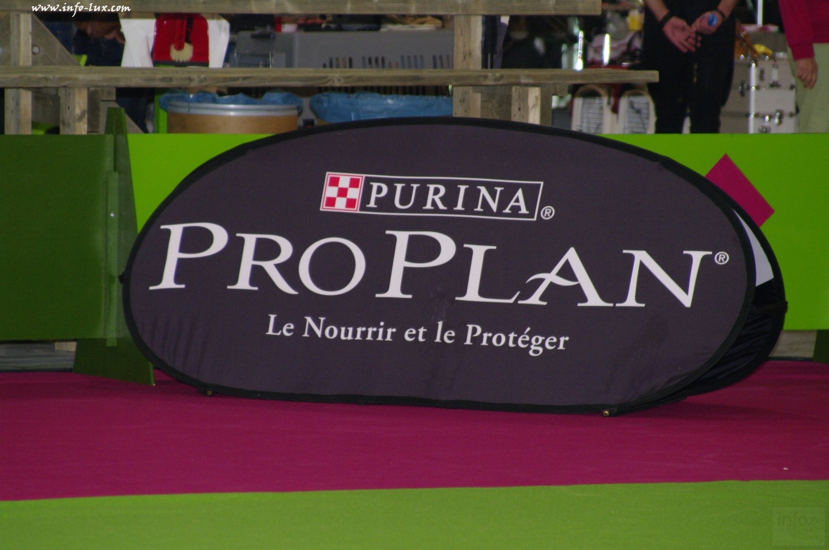images/stories/PHOTOSREP/Libramont-Chevigny/chiens/expot063