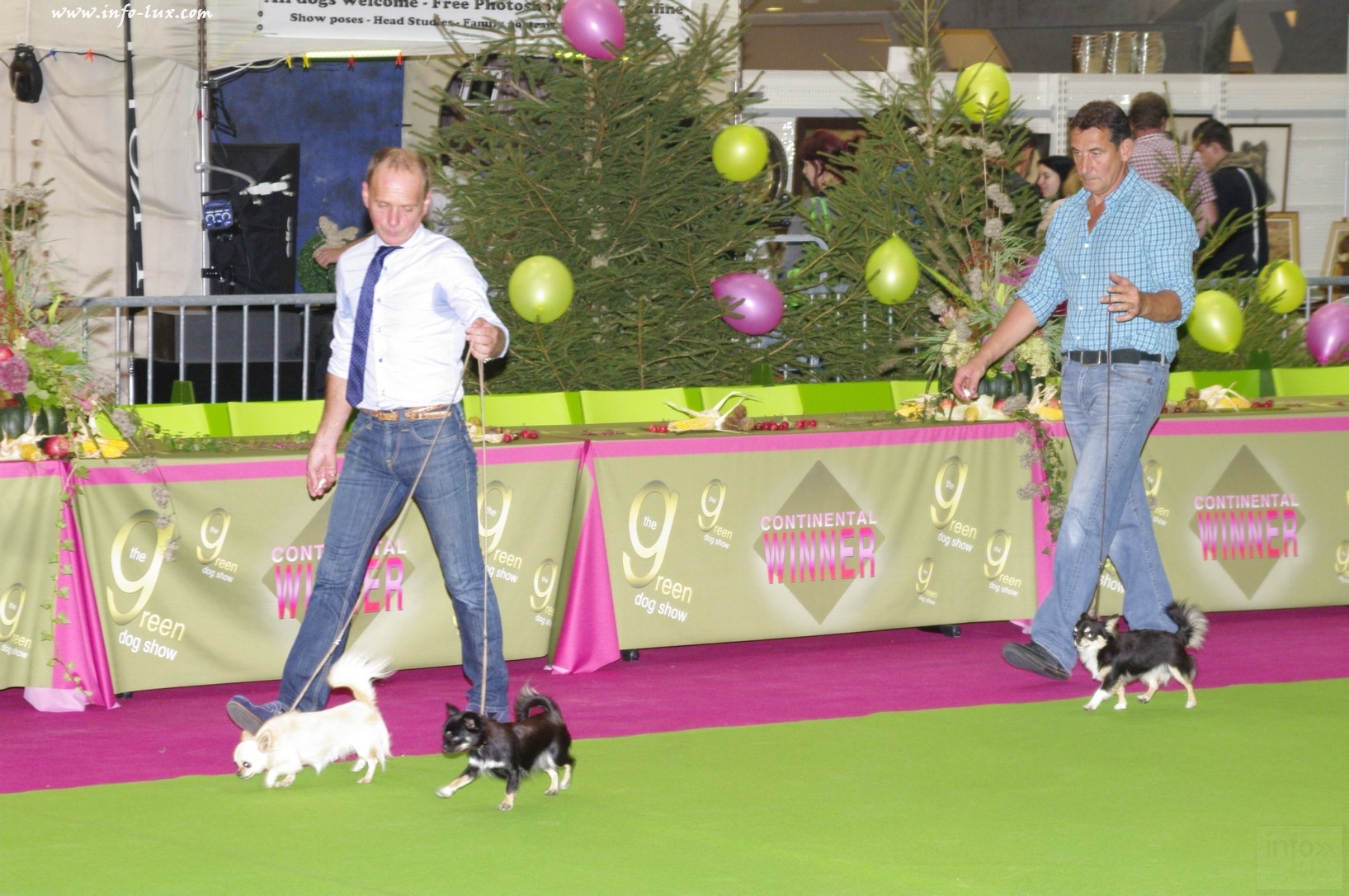 images/stories/PHOTOSREP/Libramont-Chevigny/chiens/expot064