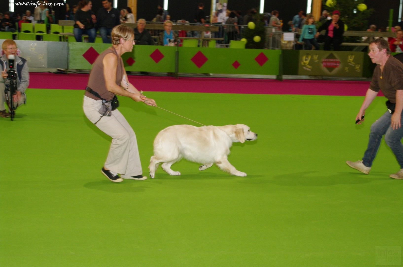 images/stories/PHOTOSREP/Libramont-Chevigny/chiens/expot066