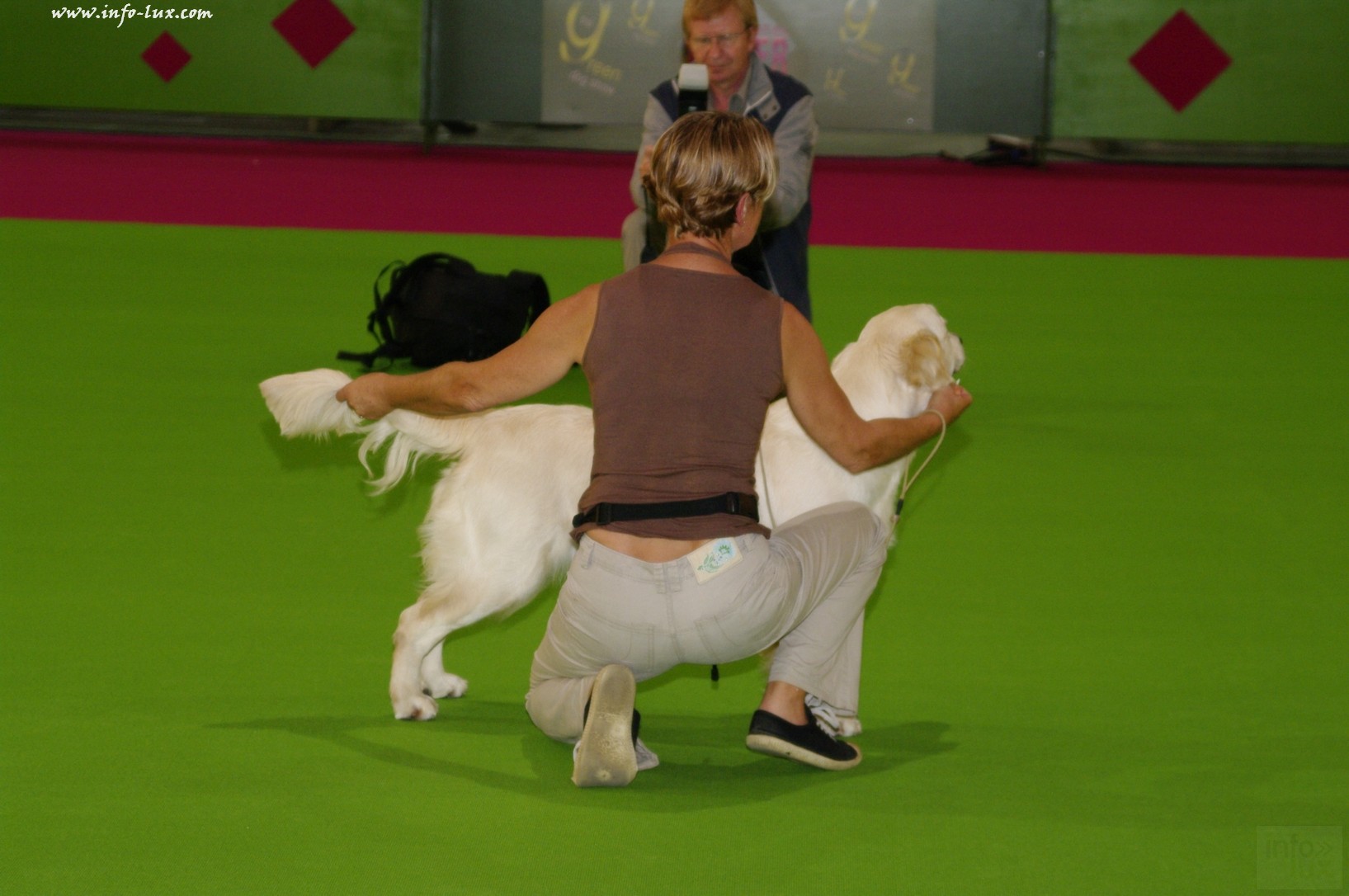 images/stories/PHOTOSREP/Libramont-Chevigny/chiens/expot067