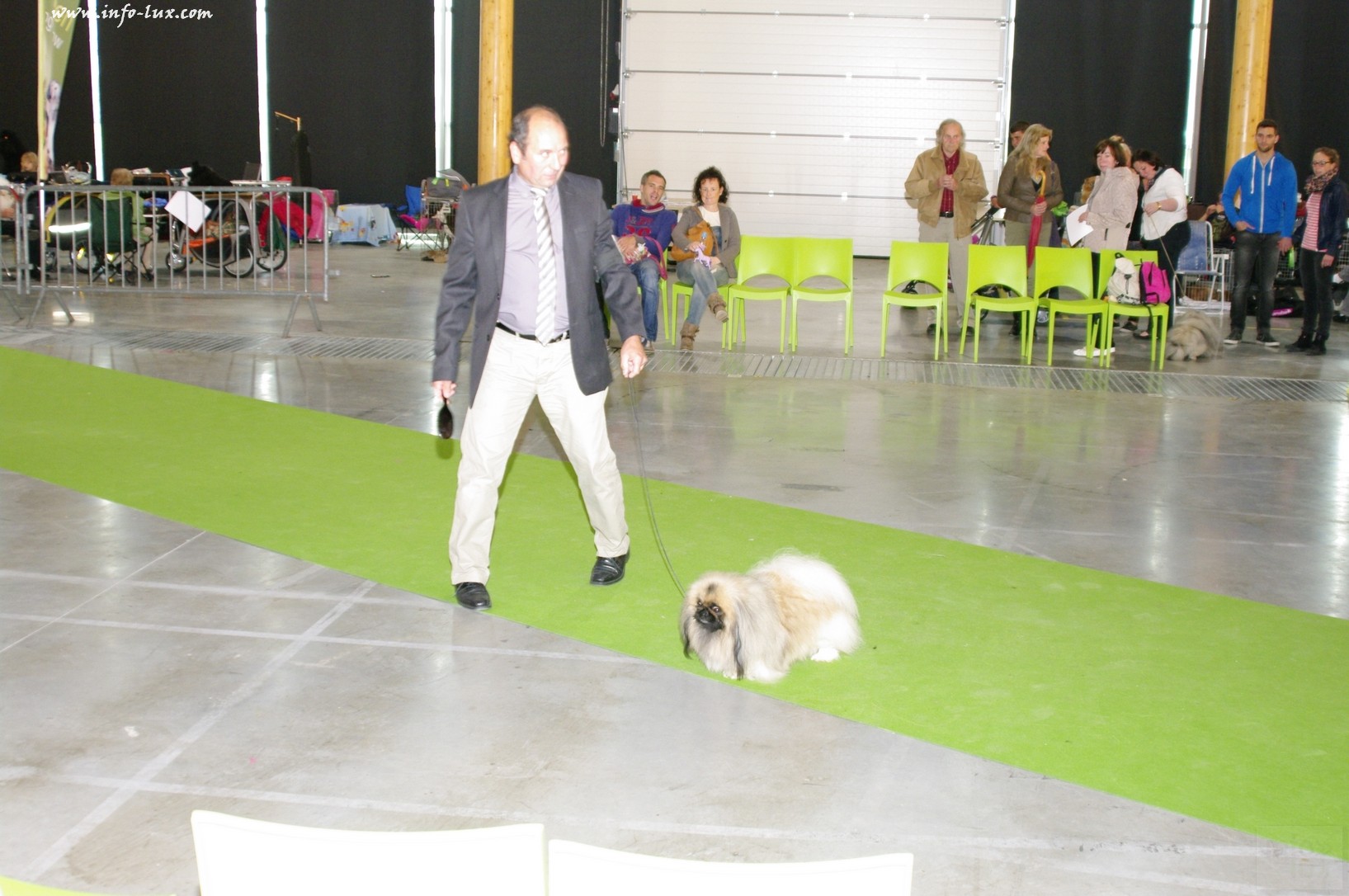 images/stories/PHOTOSREP/Libramont-Chevigny/chiens/expot068