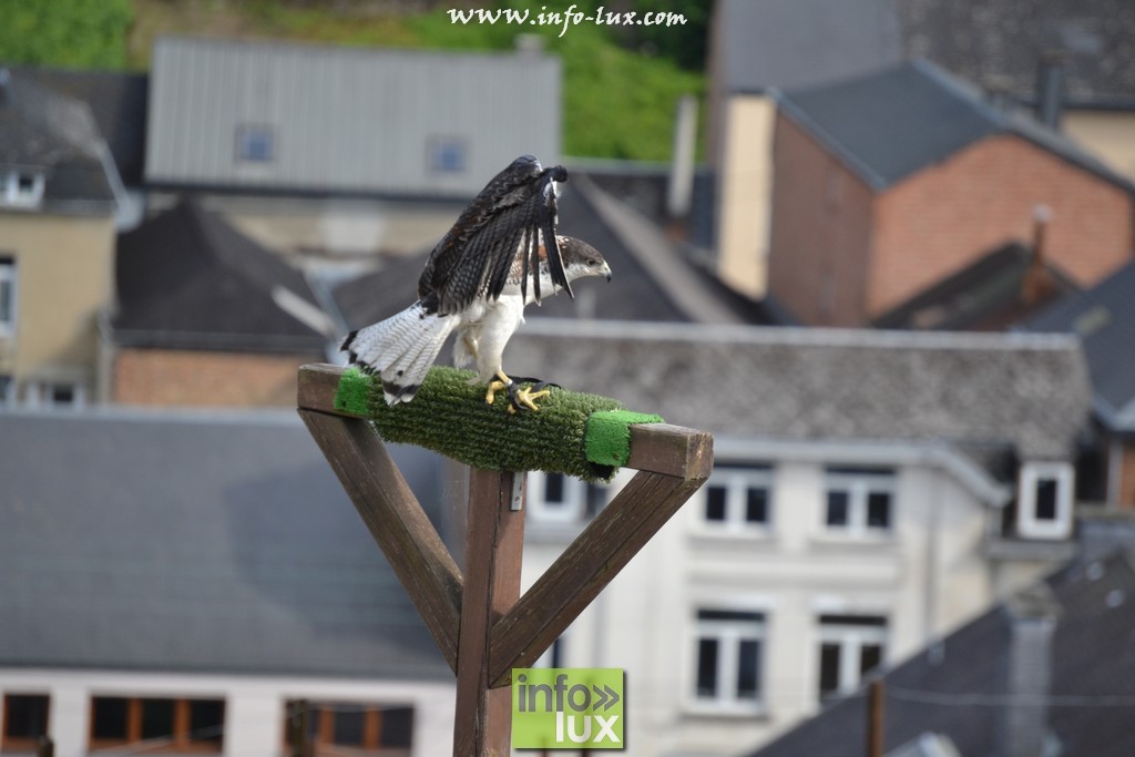 images/stories/PHOTOSREP/La-Roche-en-Ardenne/chateau2/laroche482