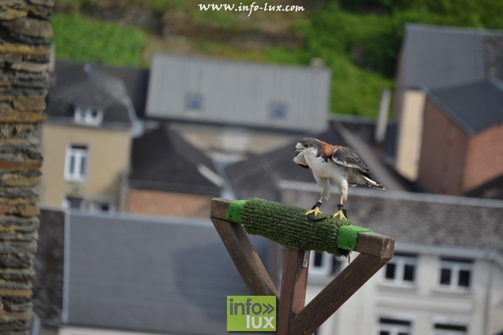 images/stories/PHOTOSREP/La-Roche-en-Ardenne/chateau2/laroche484