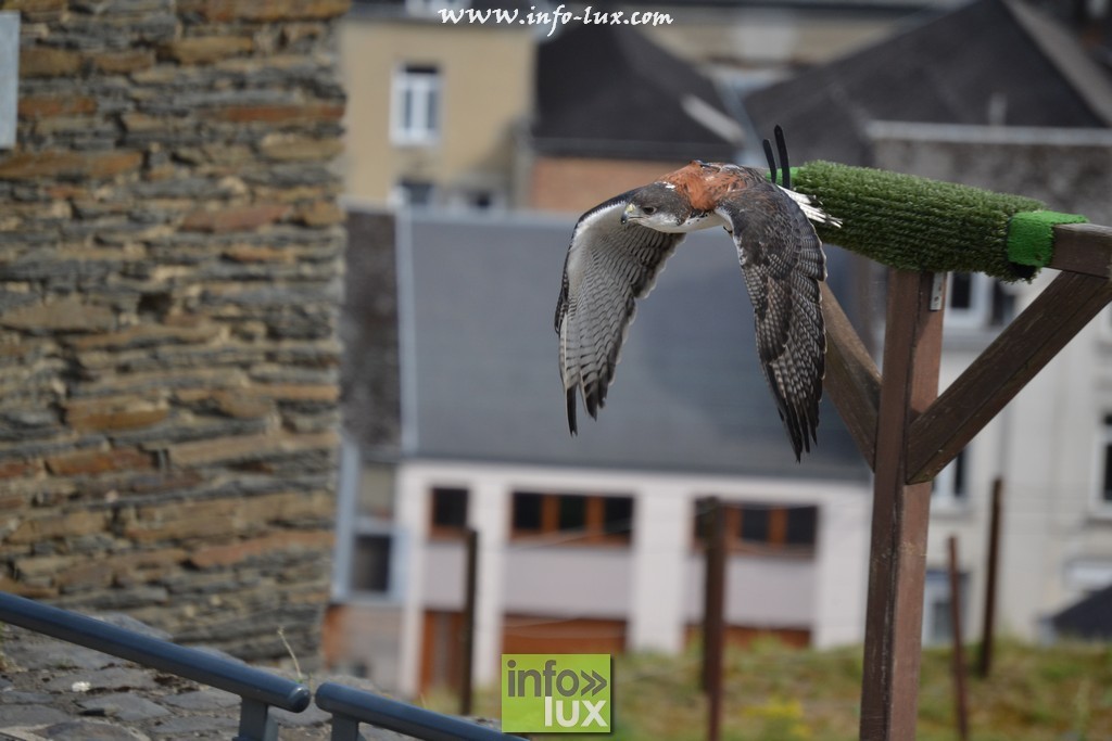 images/stories/PHOTOSREP/La-Roche-en-Ardenne/chateau2/laroche485