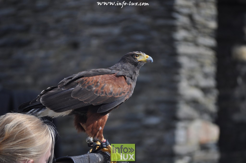 images/stories/PHOTOSREP/La-Roche-en-Ardenne/chateau2/laroche561