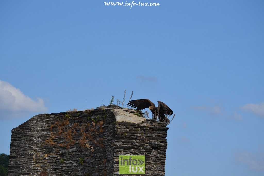 images/stories/PHOTOSREP/La-Roche-en-Ardenne/chateau2/laroche564
