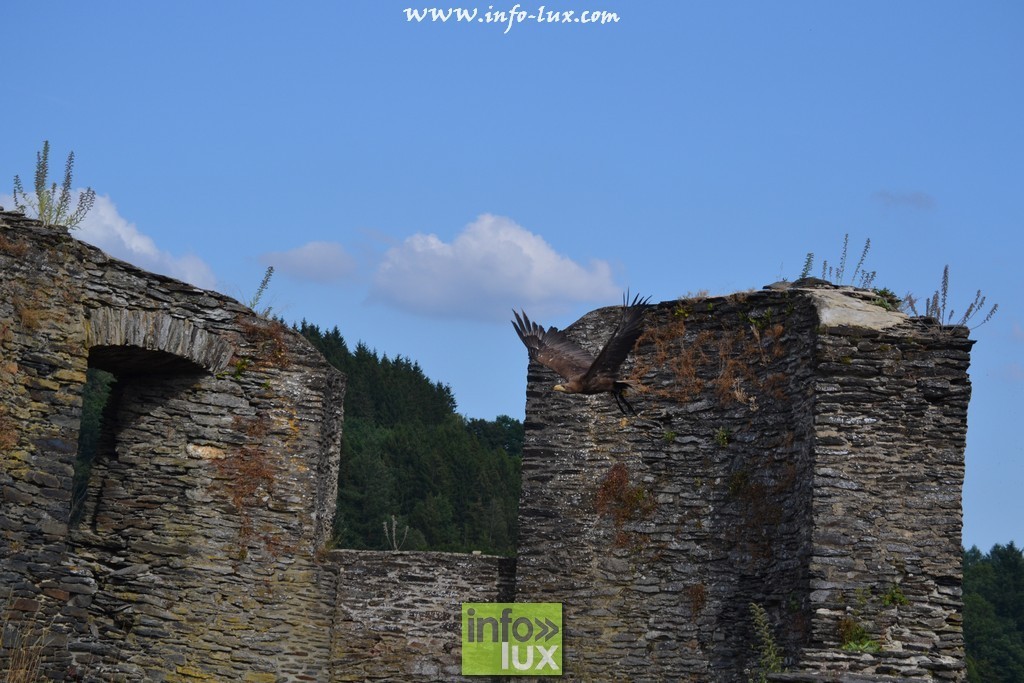 images/stories/PHOTOSREP/La-Roche-en-Ardenne/chateau2/laroche566