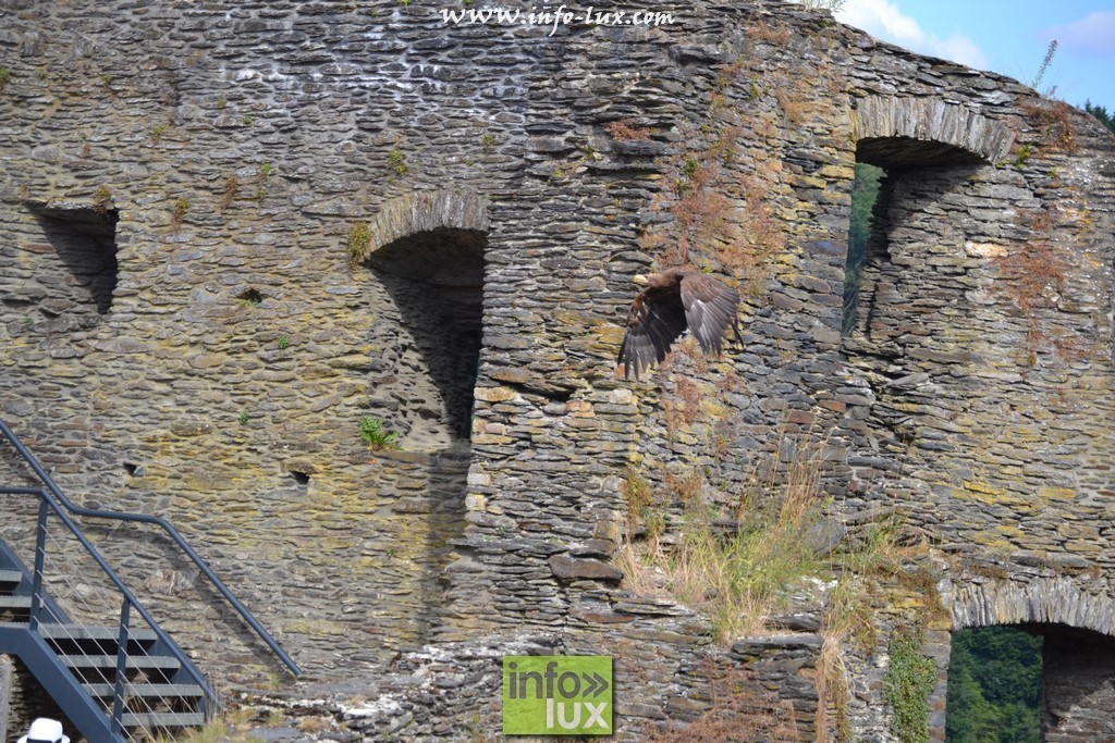 images/stories/PHOTOSREP/La-Roche-en-Ardenne/chateau2/laroche569