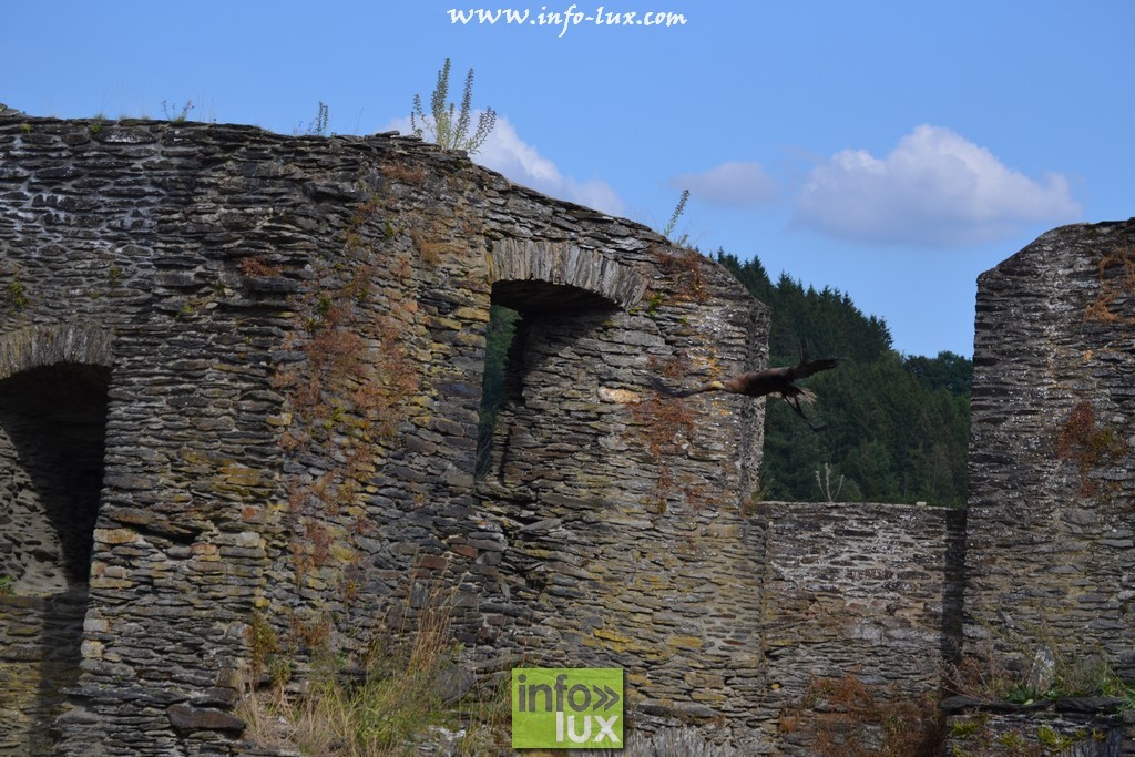images/stories/PHOTOSREP/La-Roche-en-Ardenne/chateau2/laroche570