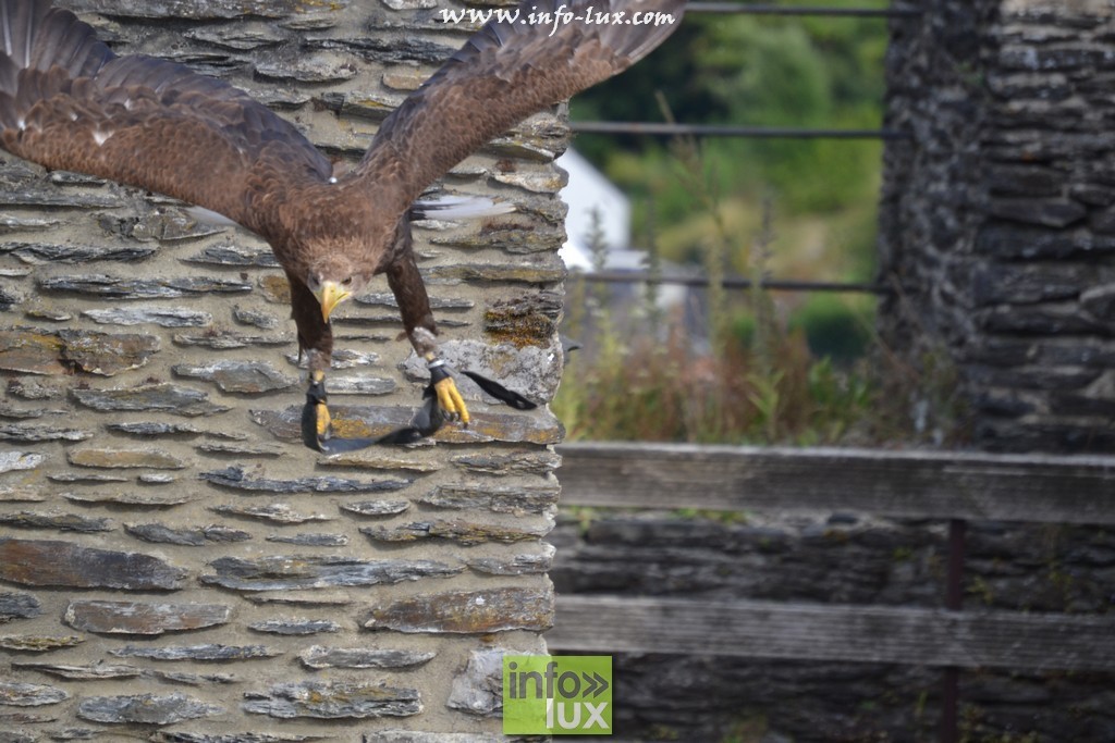 images/stories/PHOTOSREP/La-Roche-en-Ardenne/chateau2/laroche604