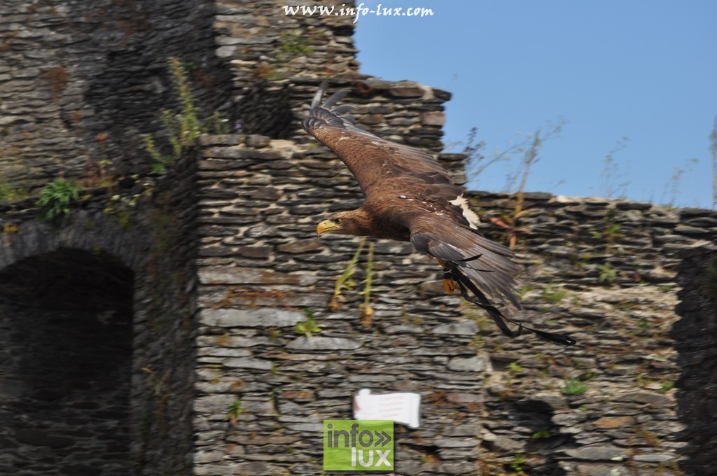 images/stories/PHOTOSREP/La-Roche-en-Ardenne/chateau2/laroche635
